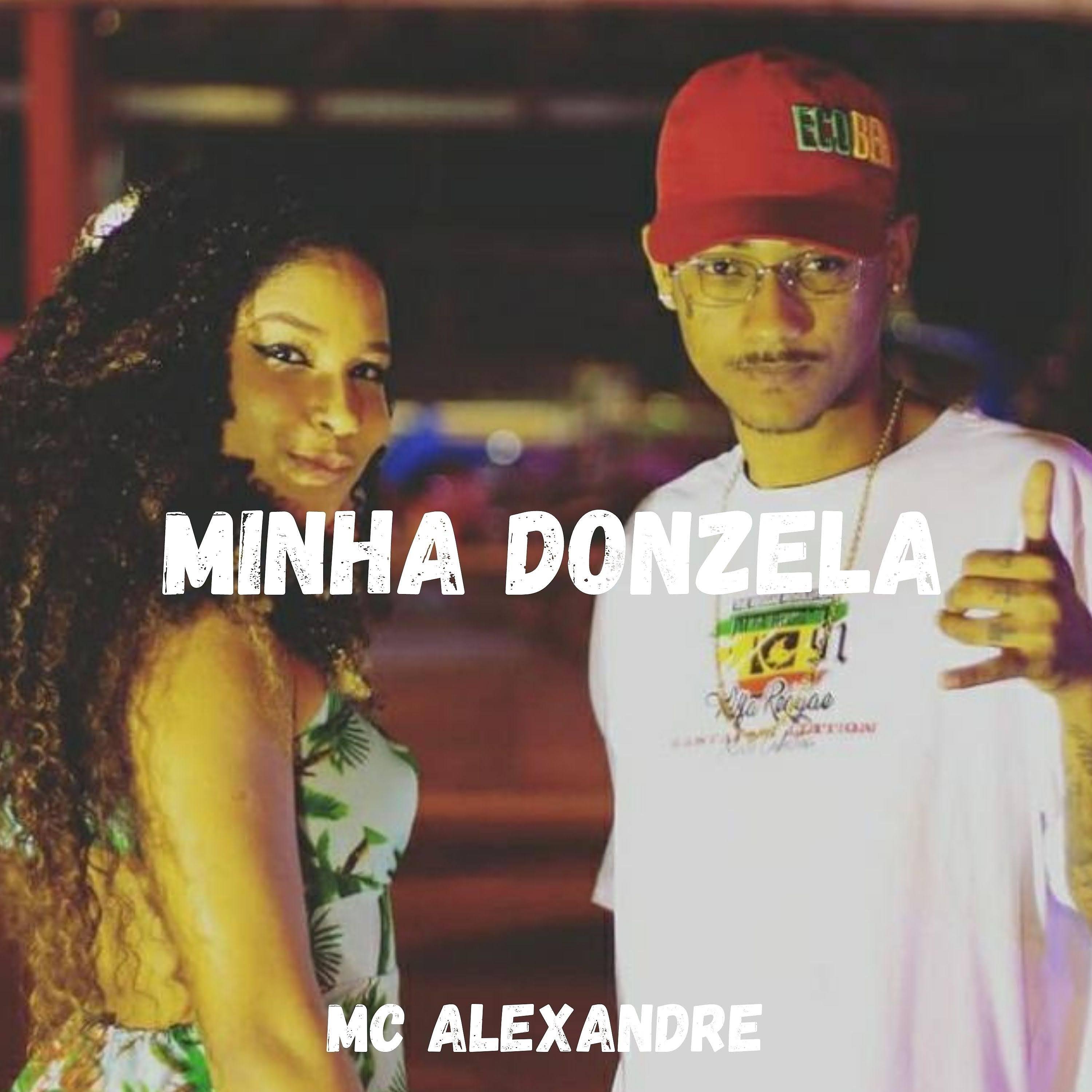 Постер альбома Minha Donzela