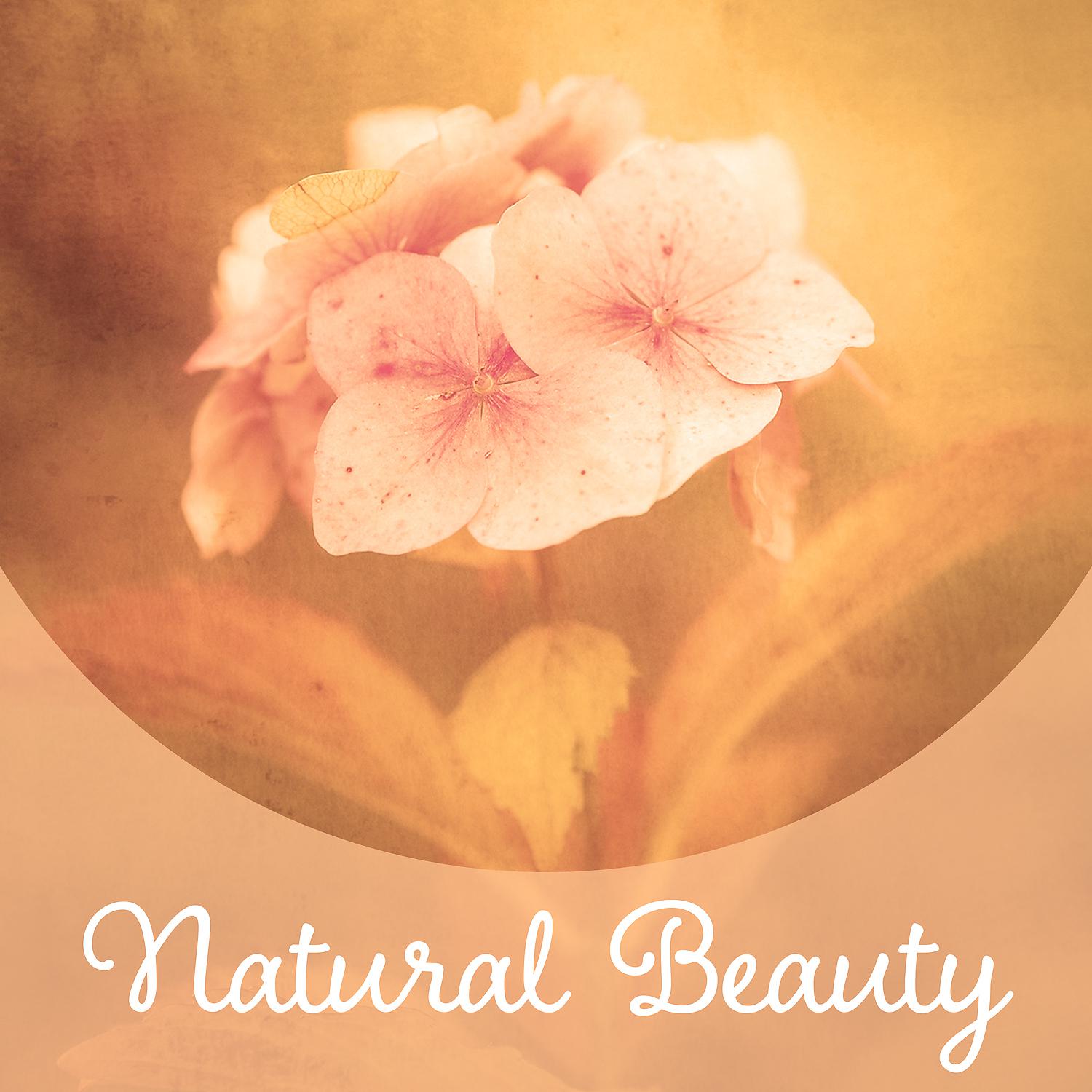 Постер альбома Natural Beauty - Spa in Garden, Interesting Massage, Naturopathy, Positive Influence of Nature, Pleasant Fragrances, Delicate Touch, Noise from the Treatments, Spa Music, Silence of the Mind