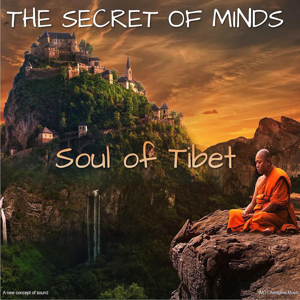 Постер альбома Soul of Tibet