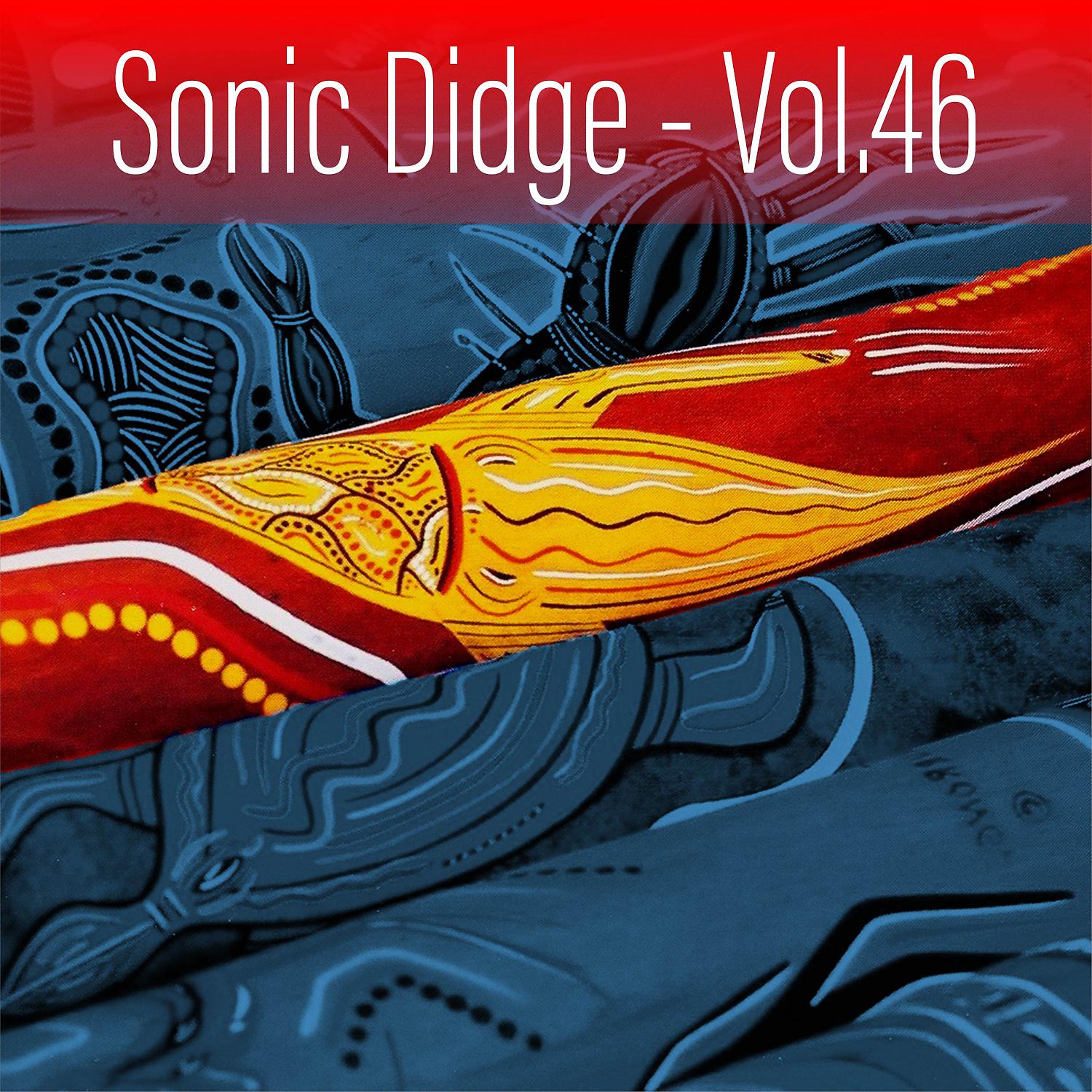 Постер альбома Sonic Didge, Vol. 46