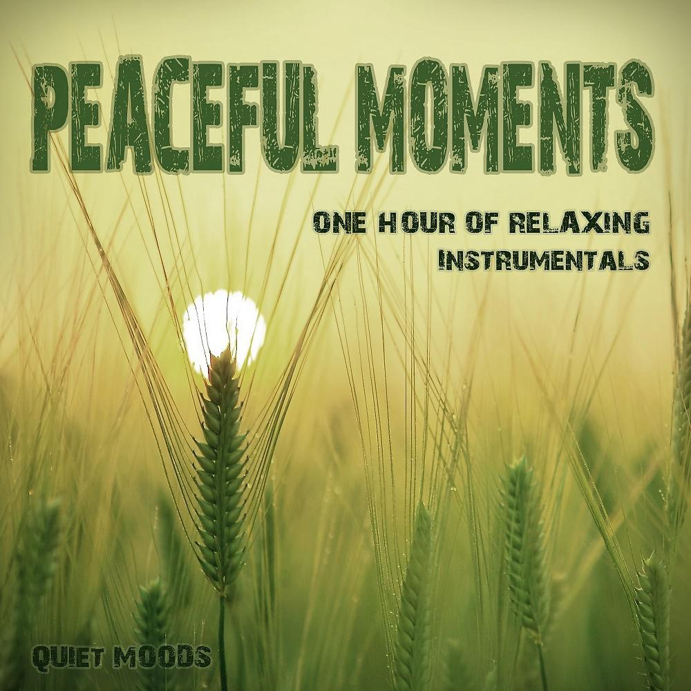 Постер альбома Peaceful Moments (One Hour of Relaxing Instrumentals)