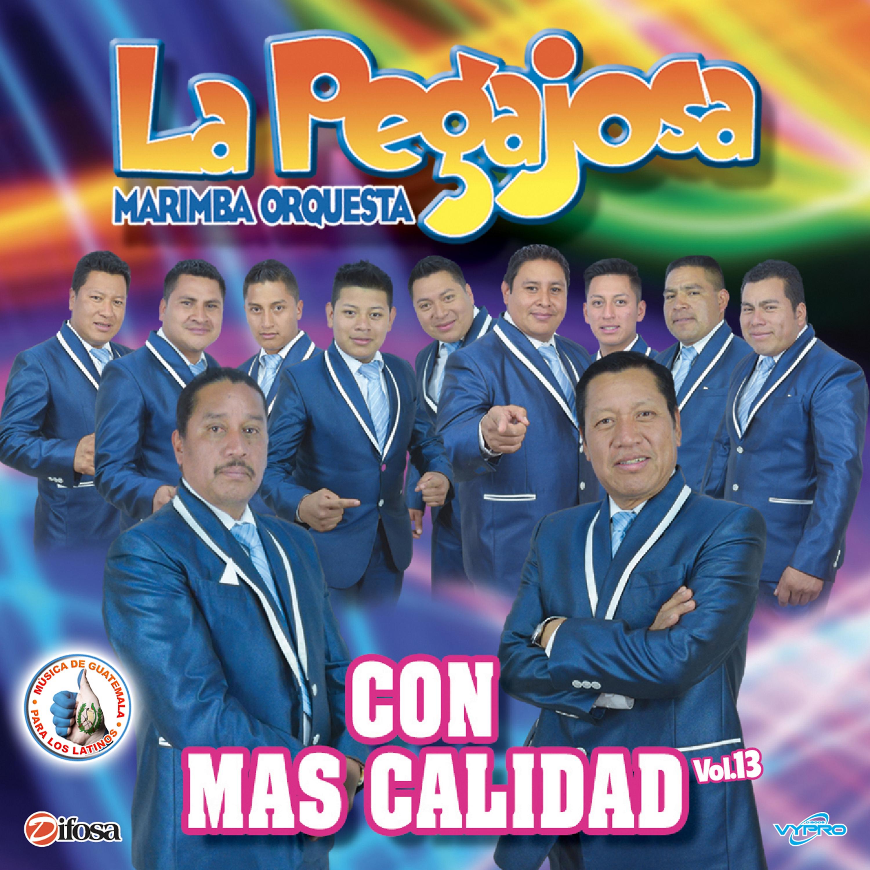 Постер альбома Con Más Calidad Vol. 13. Música de Guatemala para los Latinos