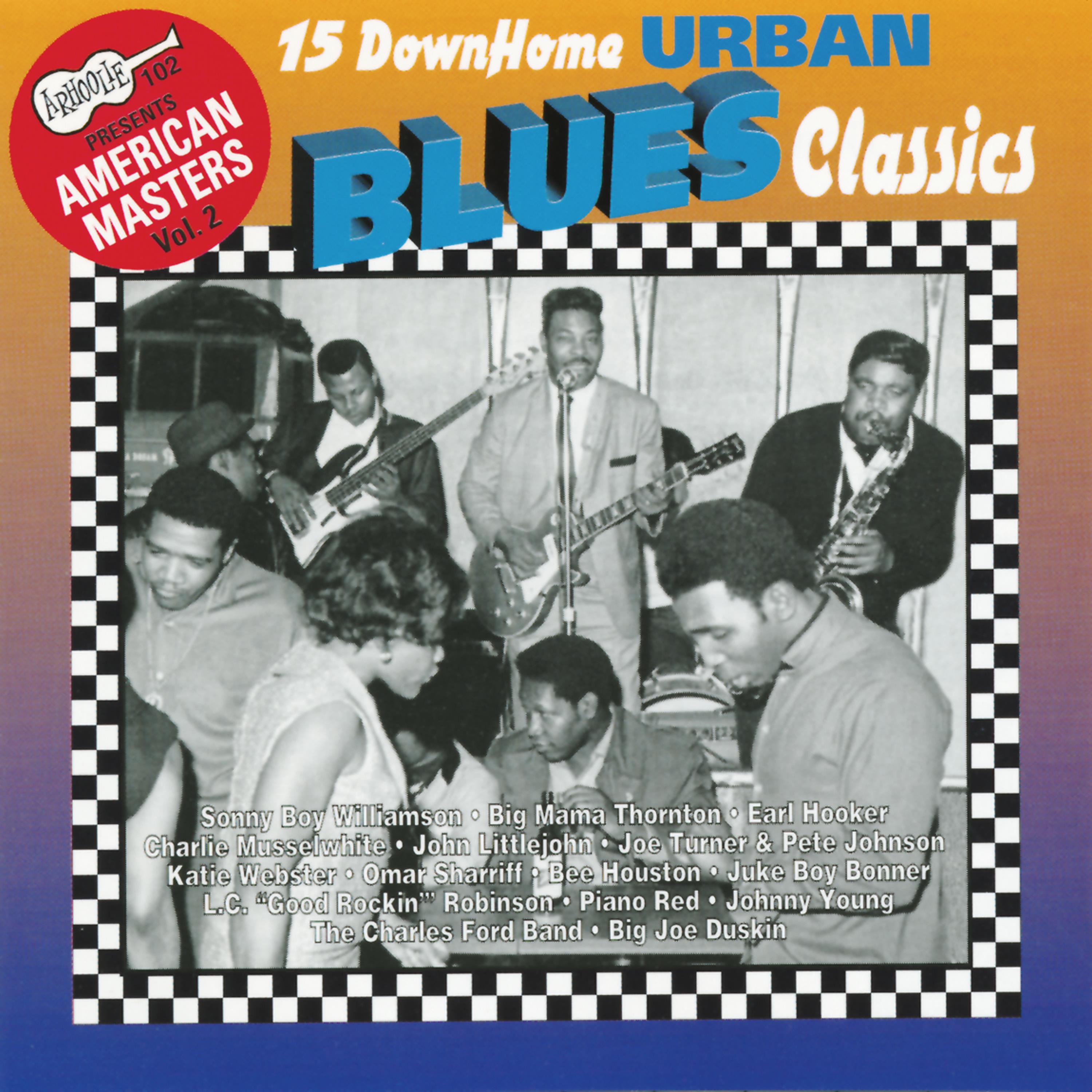 Постер альбома 15 Down Home Urban Blues Classics