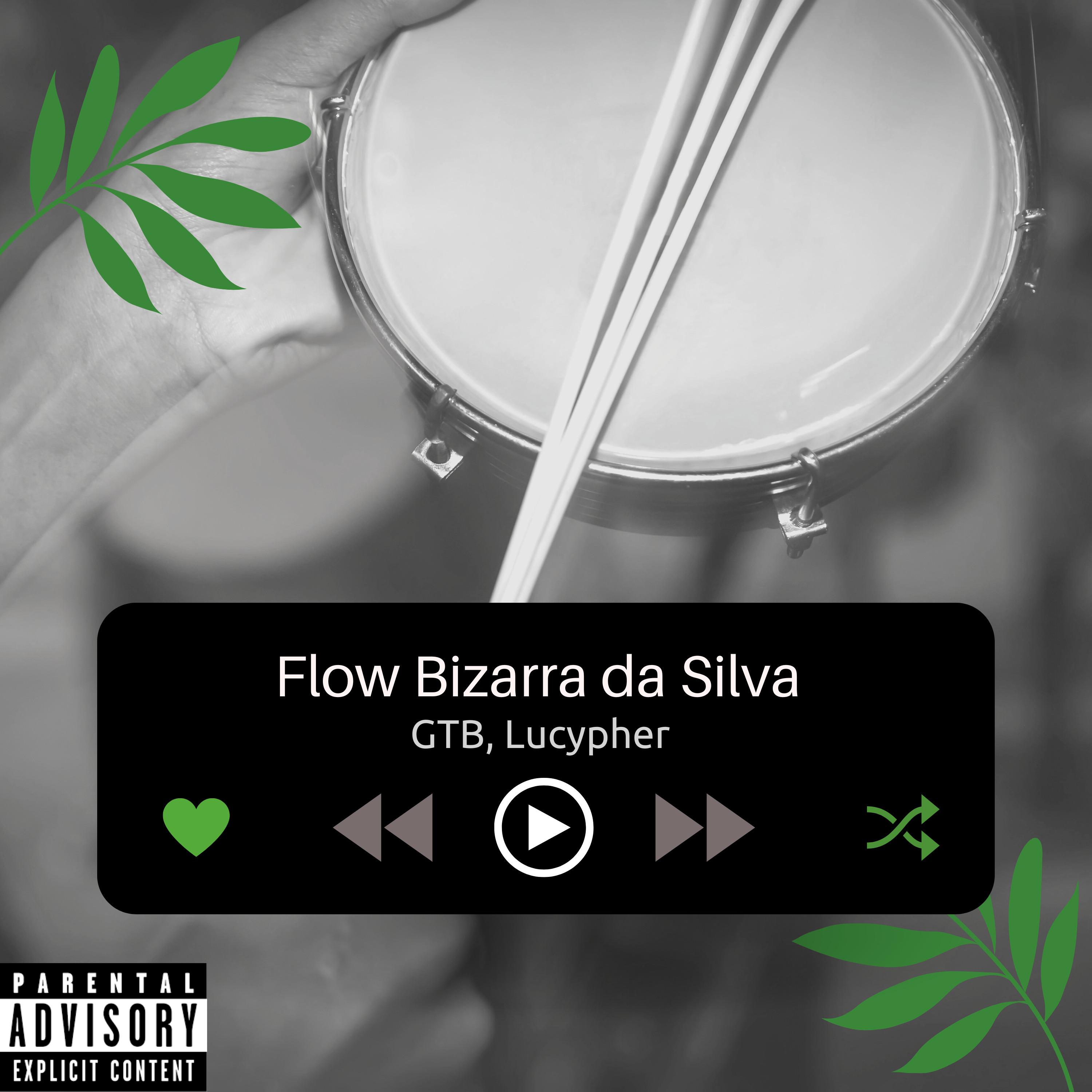 Постер альбома Flow Bizerra da Silva