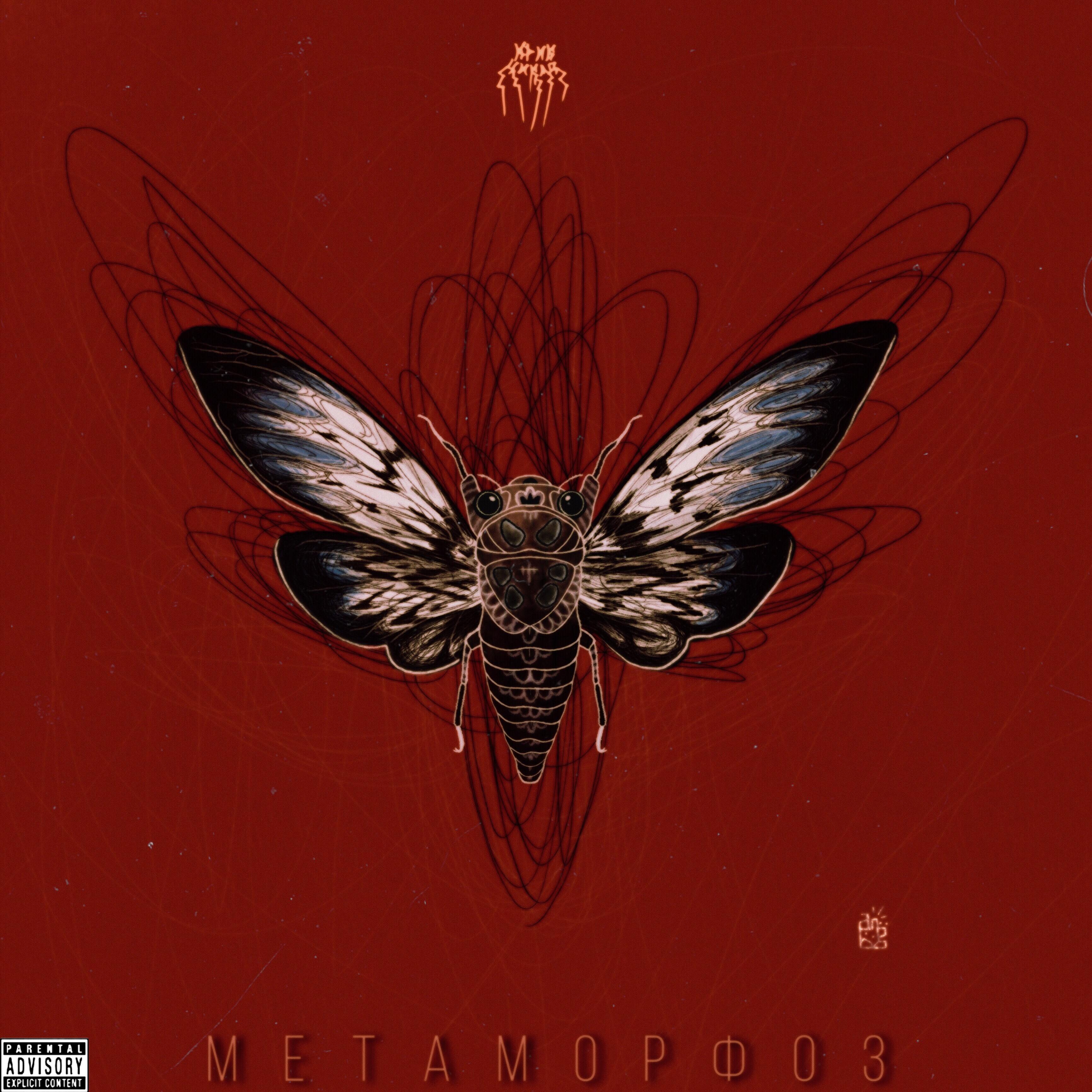 Постер альбома Метаморфоз