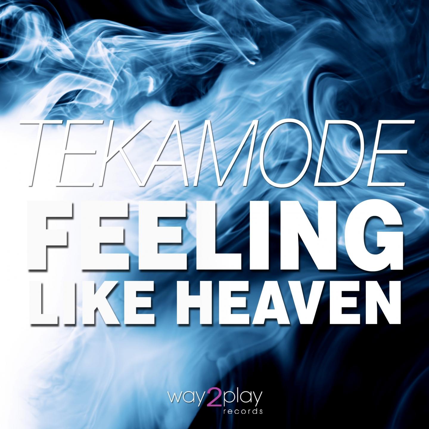 Постер альбома Feeling Like Heaven