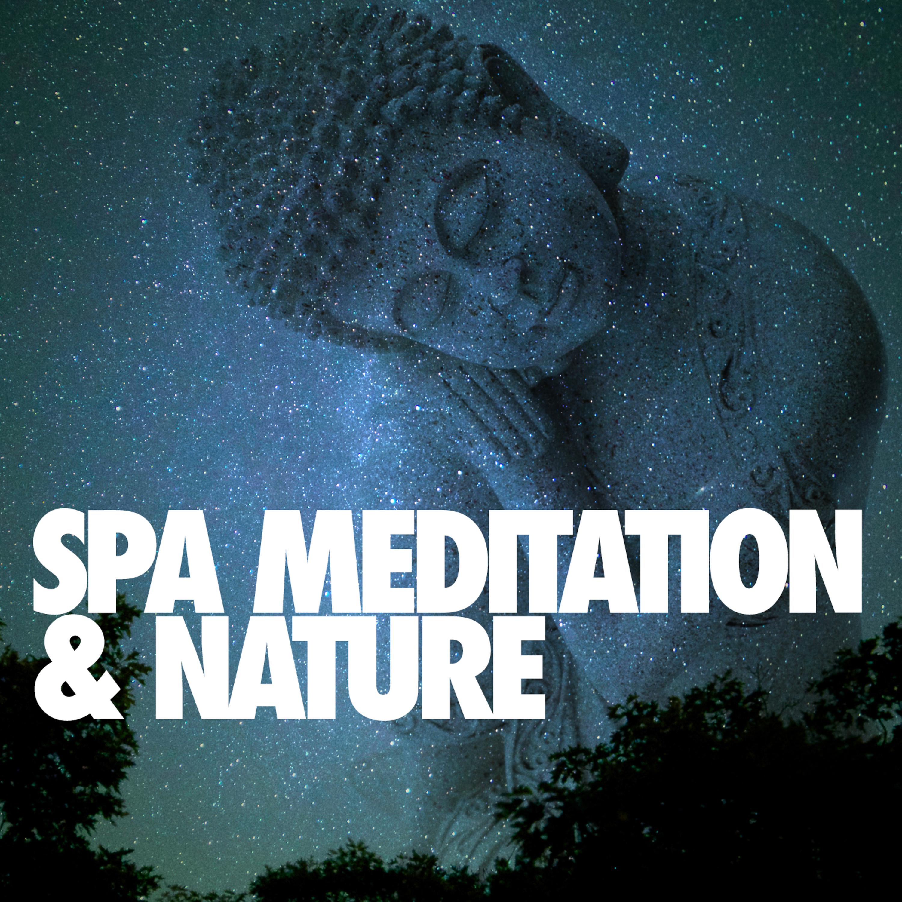 Постер альбома Spa Meditation & Nature
