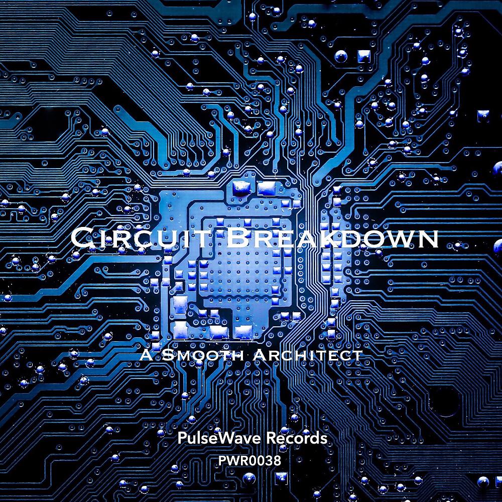 Постер альбома Circuit Breakdown