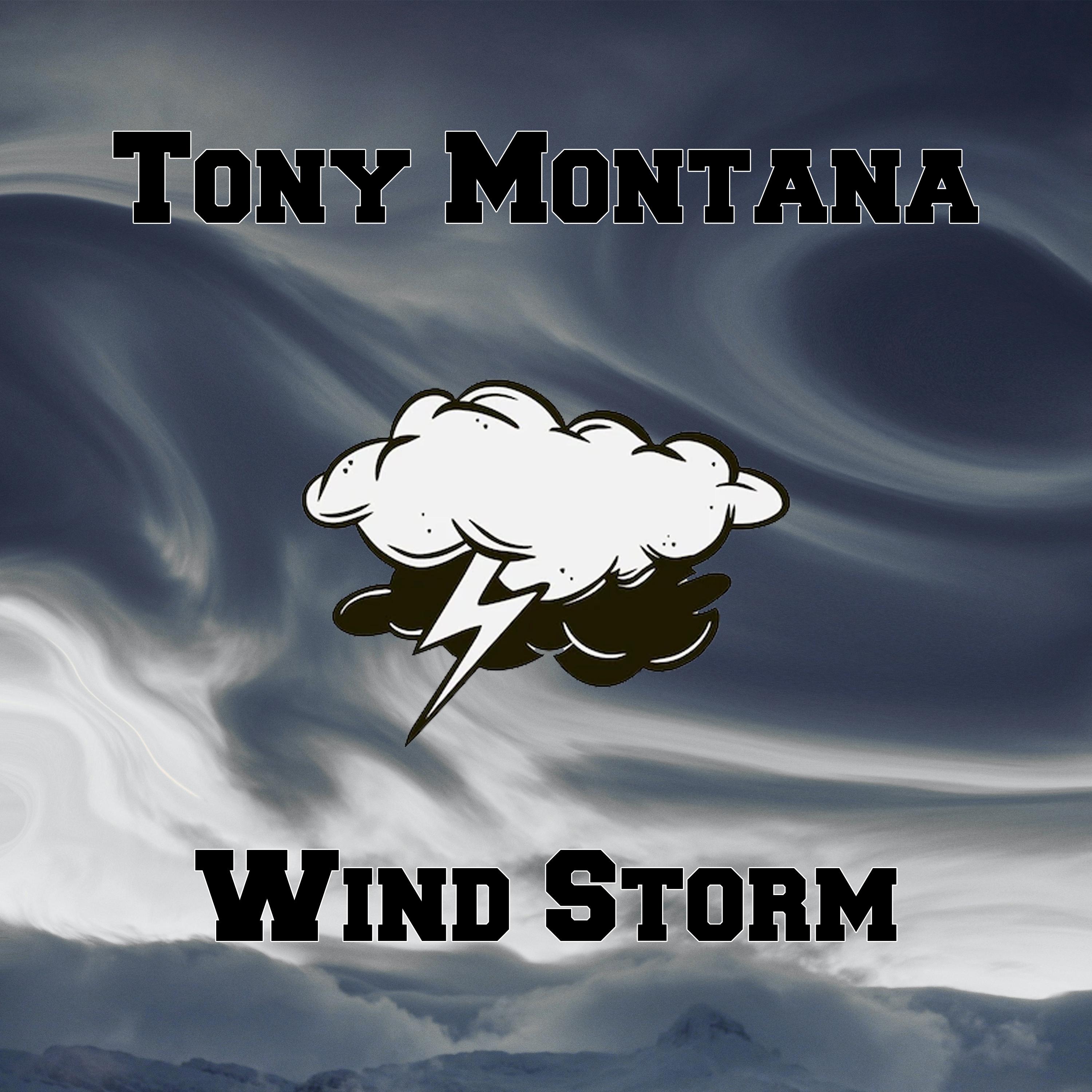 Постер альбома Wind Storm