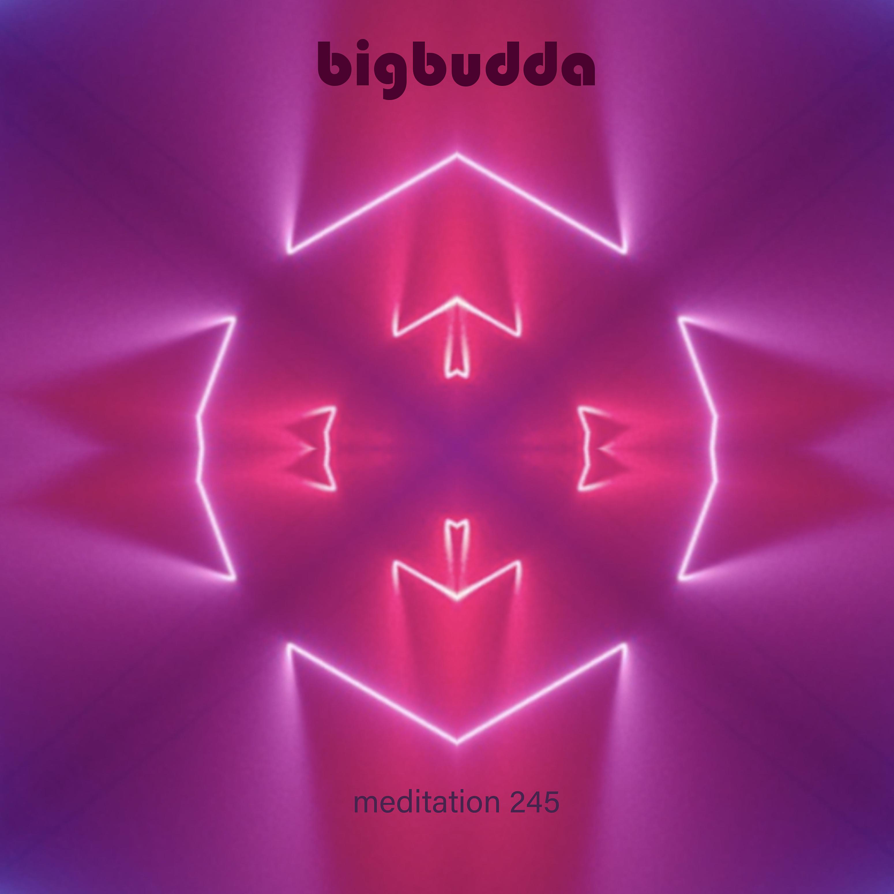 Постер альбома Meditation 245