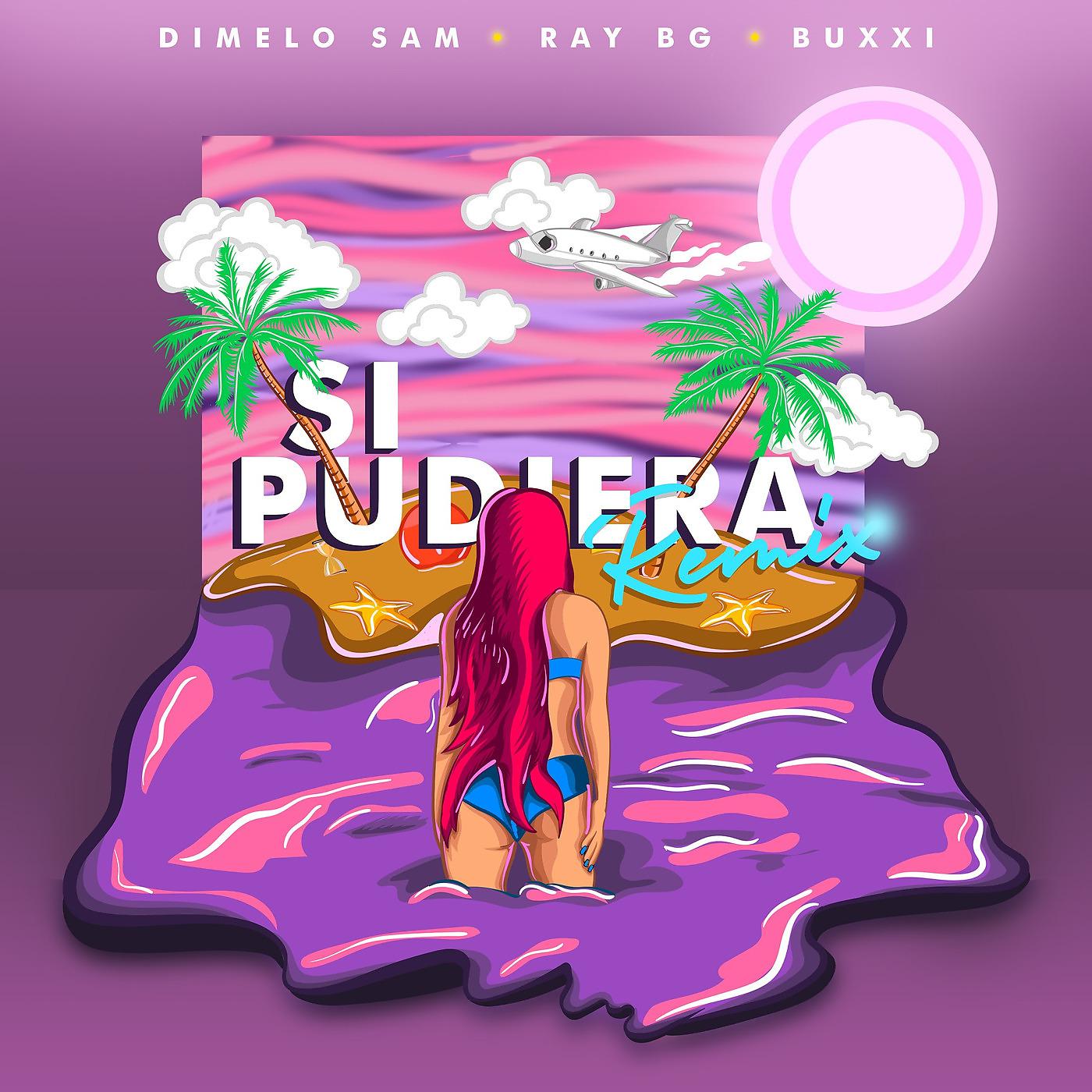 Постер альбома Si Pudiera (Remix)