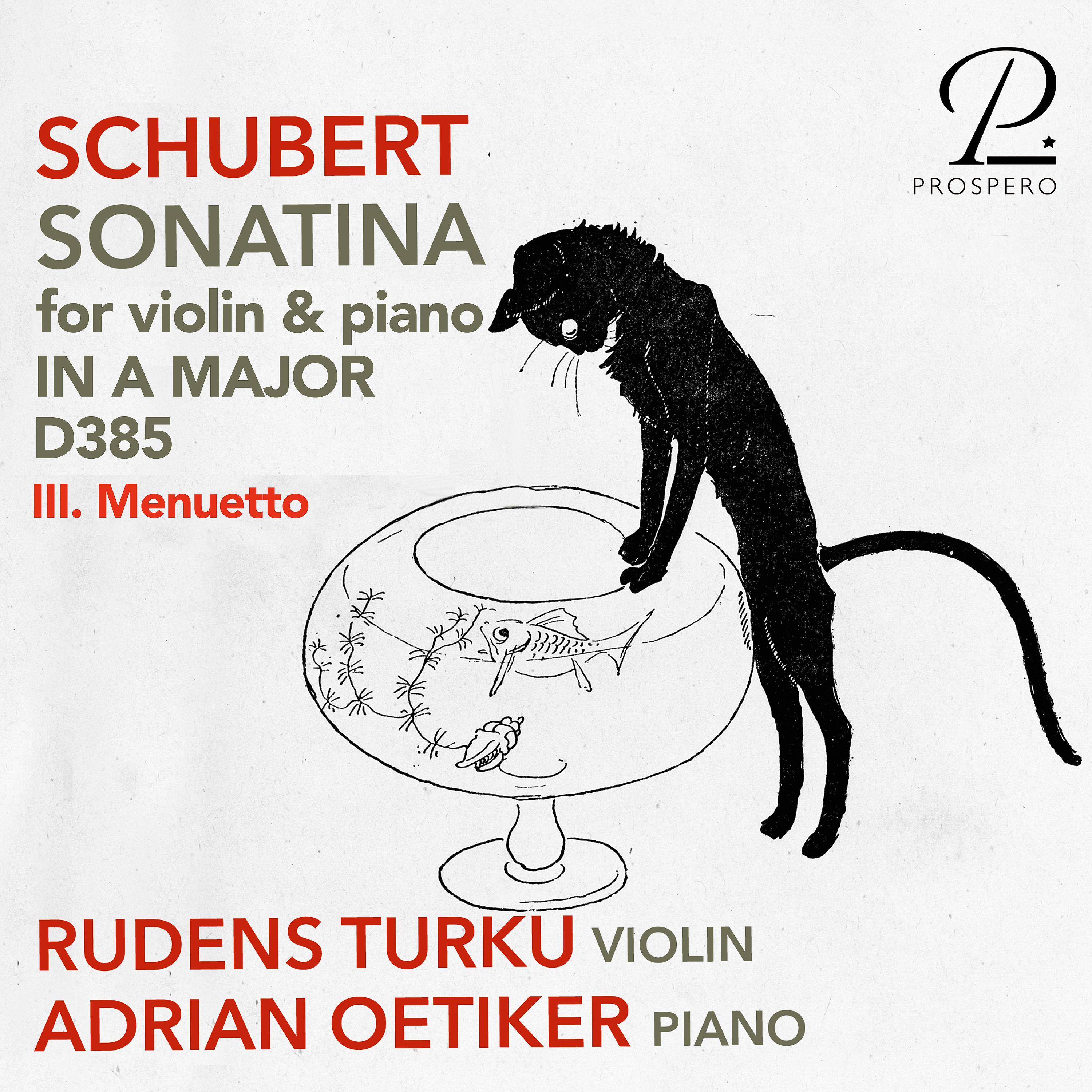 Постер альбома Violin Sonata (Sonatina) in A Minor, Op. 137 No. 2, D. 385: III. Menuetto