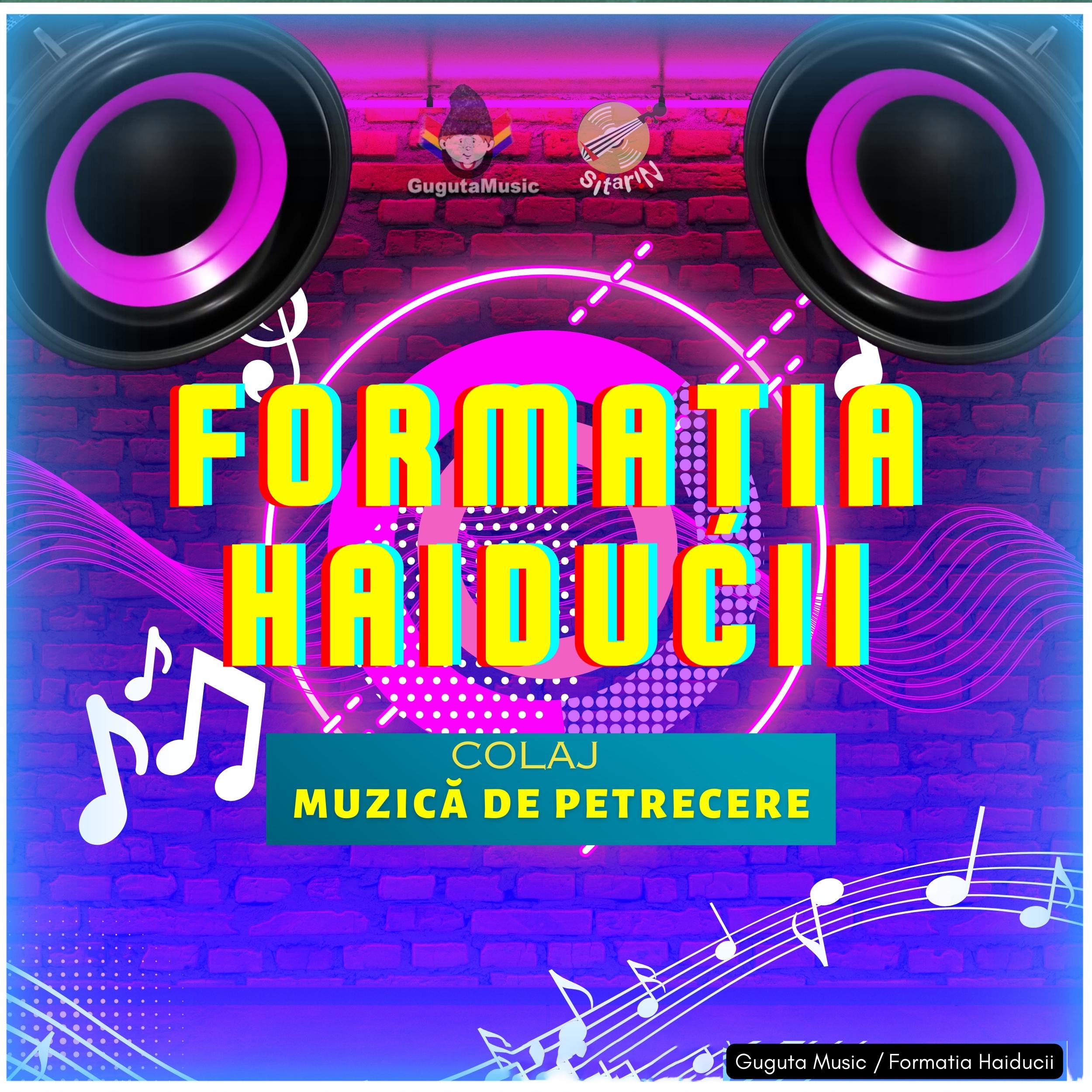 Постер альбома Colaj / Muzică de Petrecere