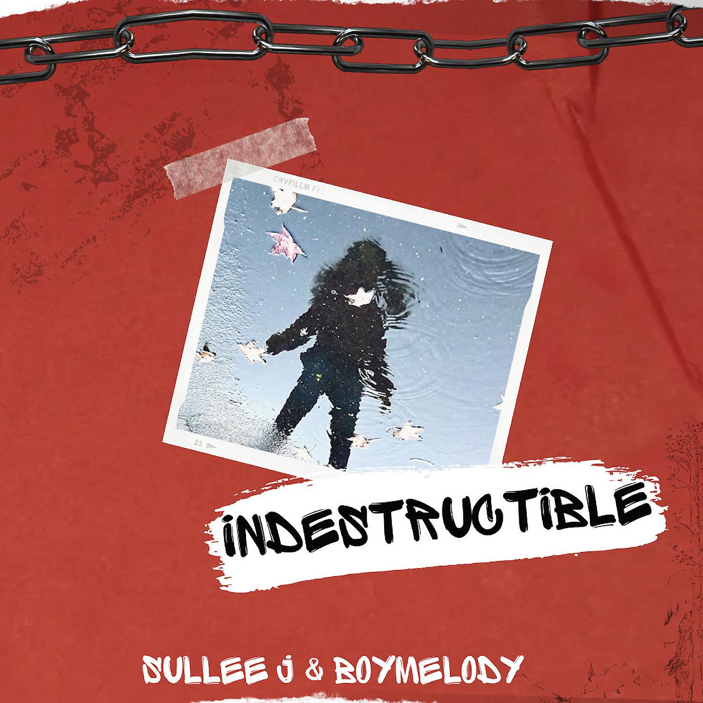 Постер альбома Indestructible