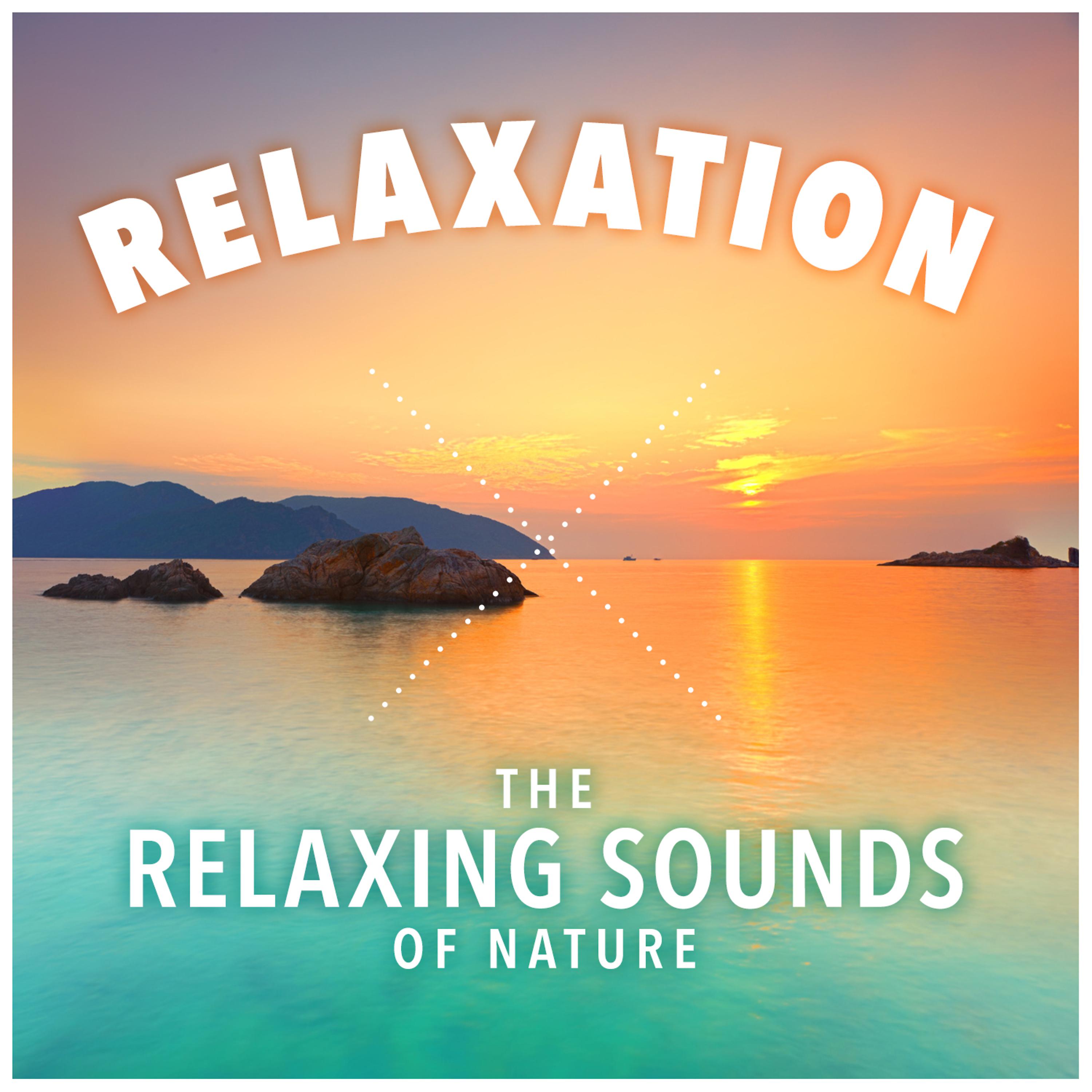 Постер альбома Relaxation - The Relaxing Sounds of Nature
