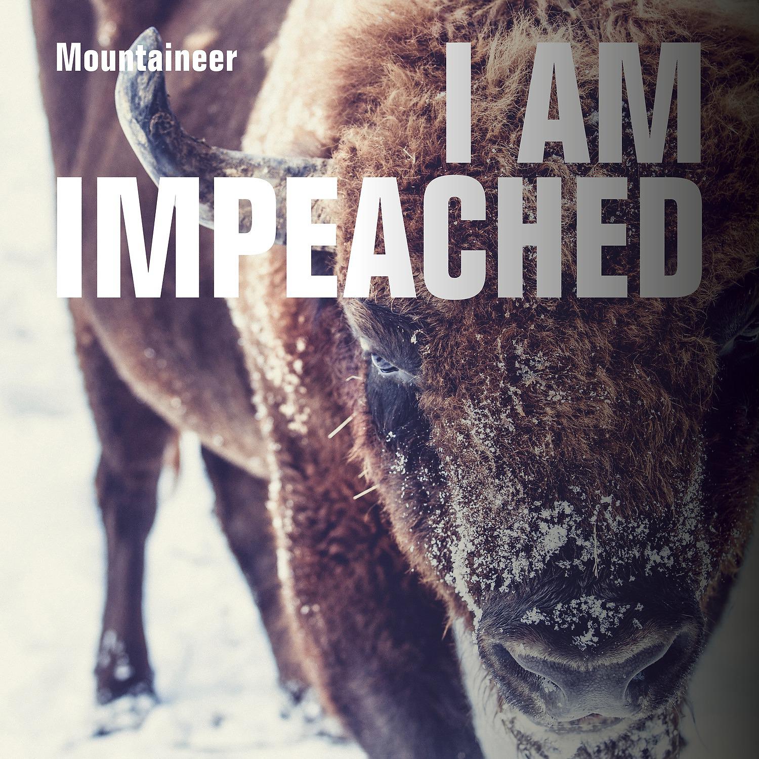 Постер альбома I Am Impeached