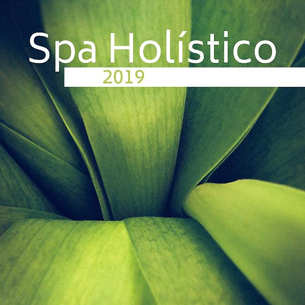 Постер альбома Spa Holístico 2019 - Música de Masaje Mejores Tratamientos y Terapias Naturales