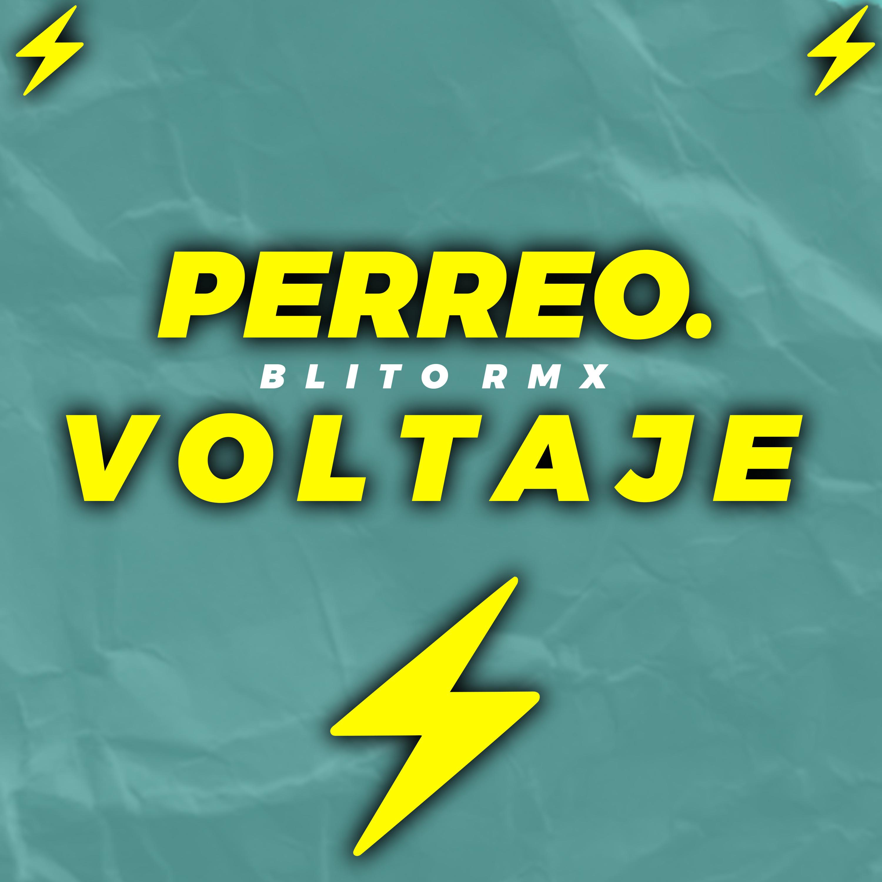 Постер альбома Perreo Voltaje