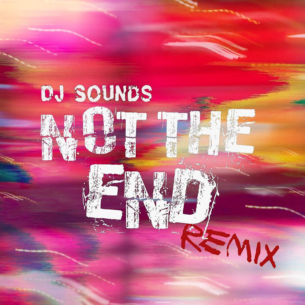 Постер альбома Not the End (Remix)