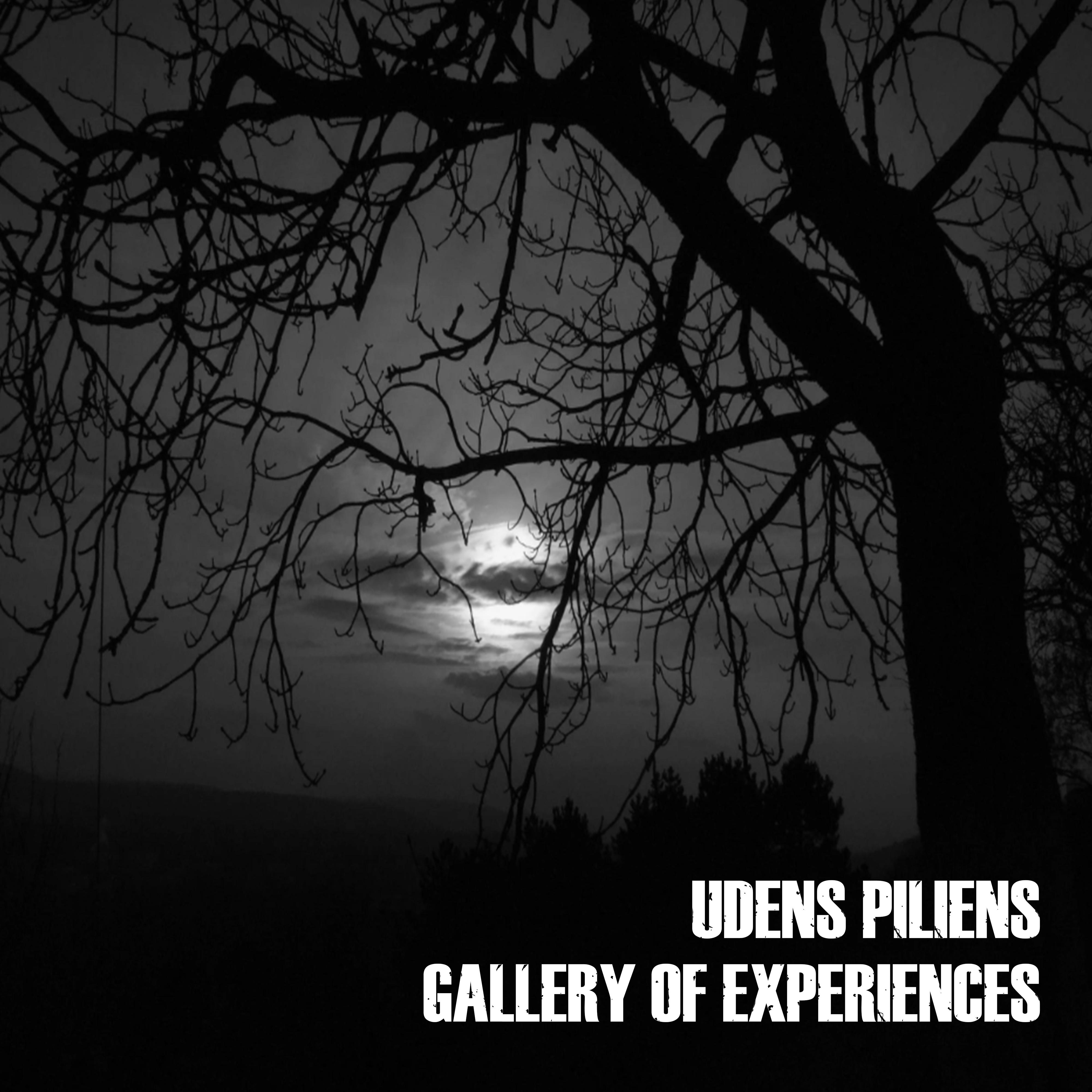Постер альбома Gallery of Experiences
