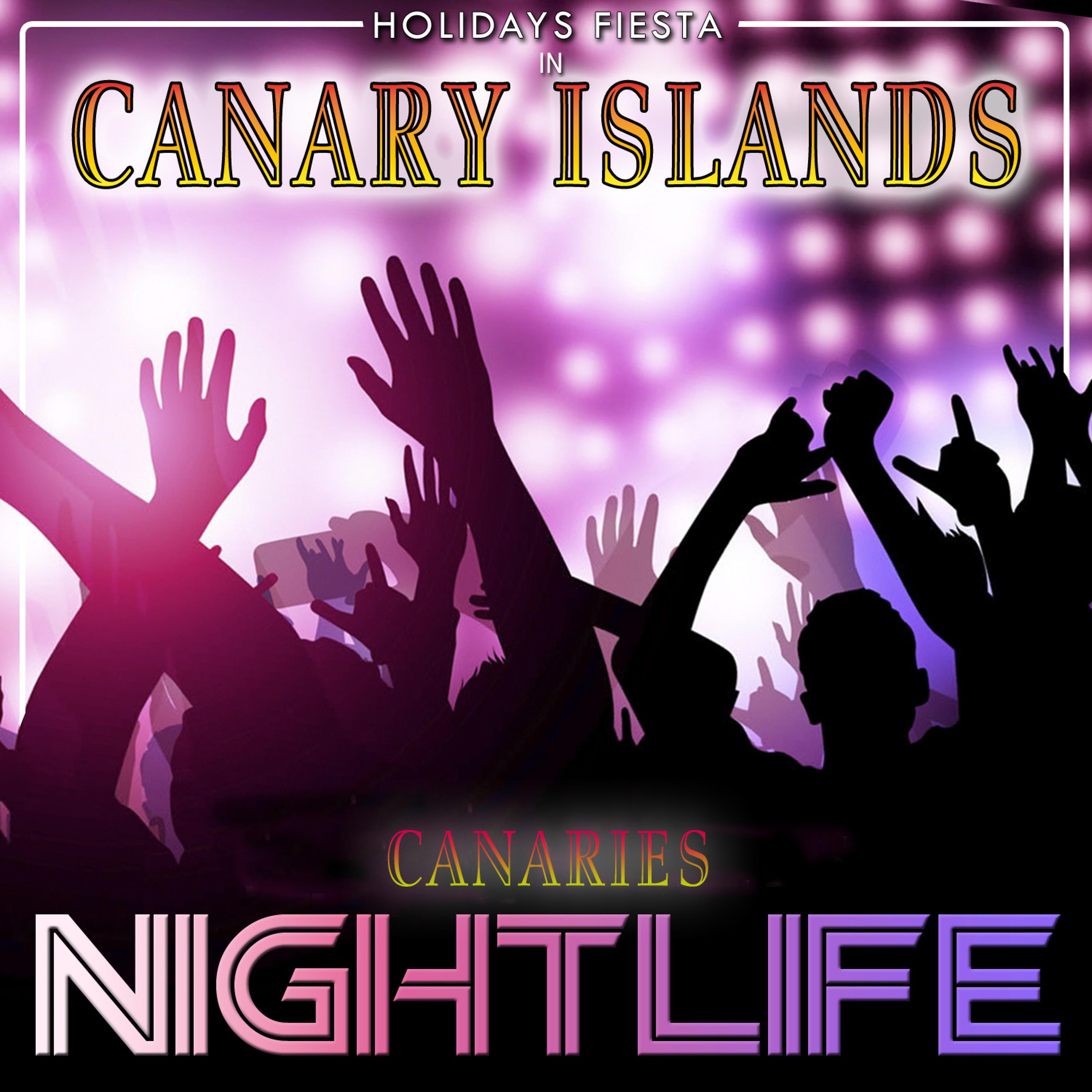 Постер альбома Holidays Fiesta in Canary Islands. Canaries Nightlife