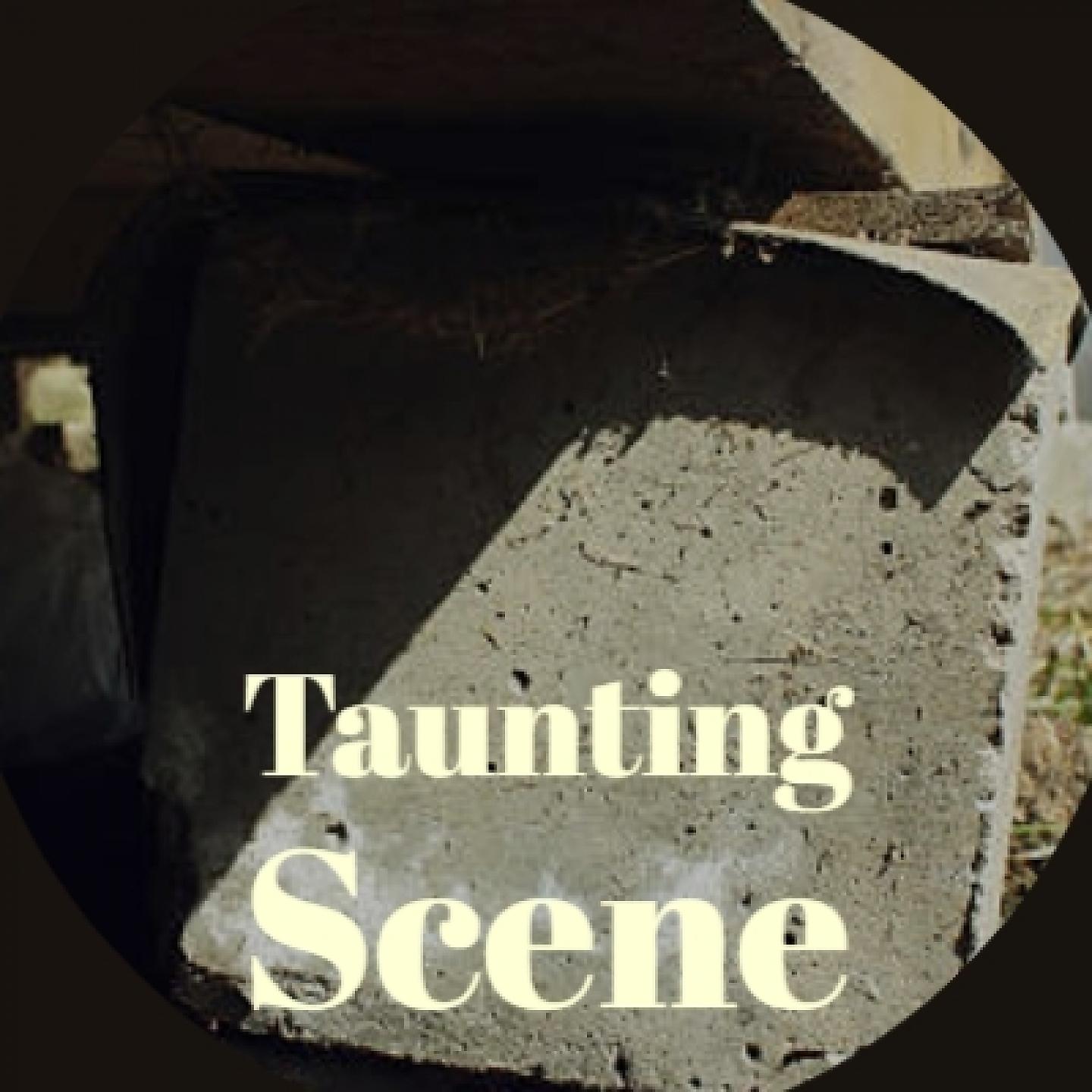 Постер альбома Taunting Scene