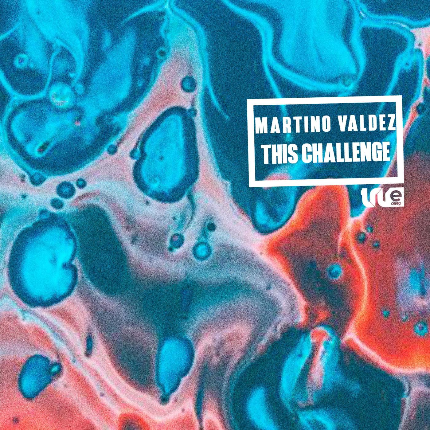 Постер альбома This Challenge