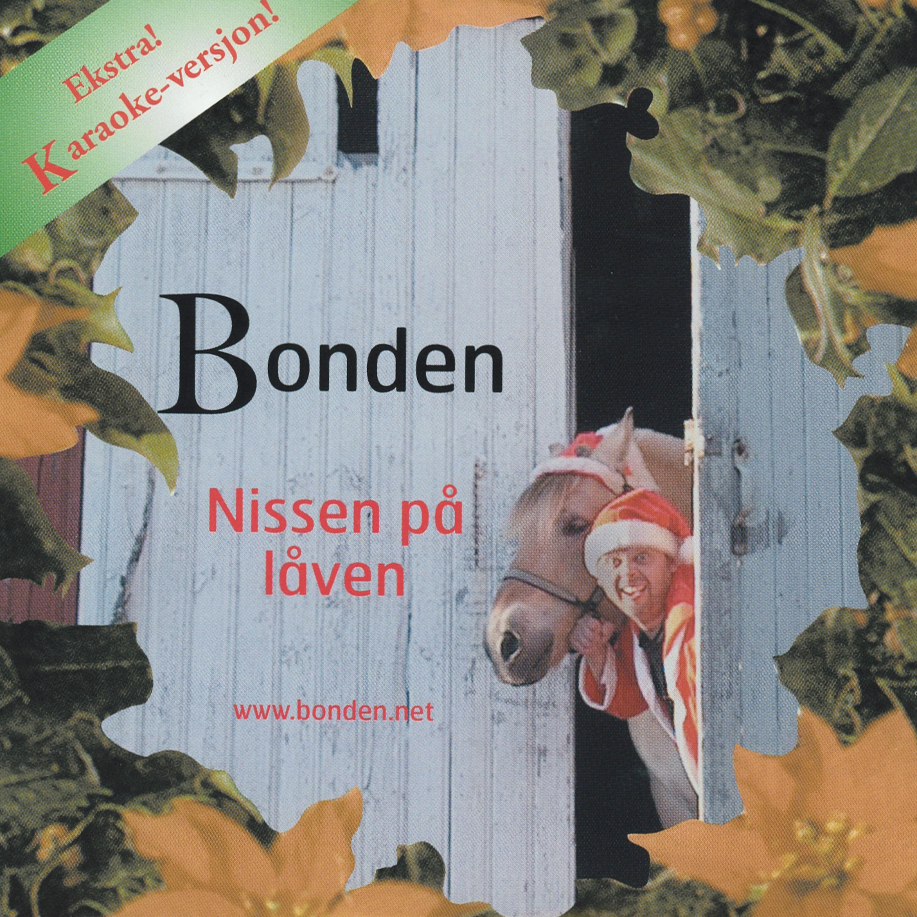 Постер альбома Nissen På Låven
