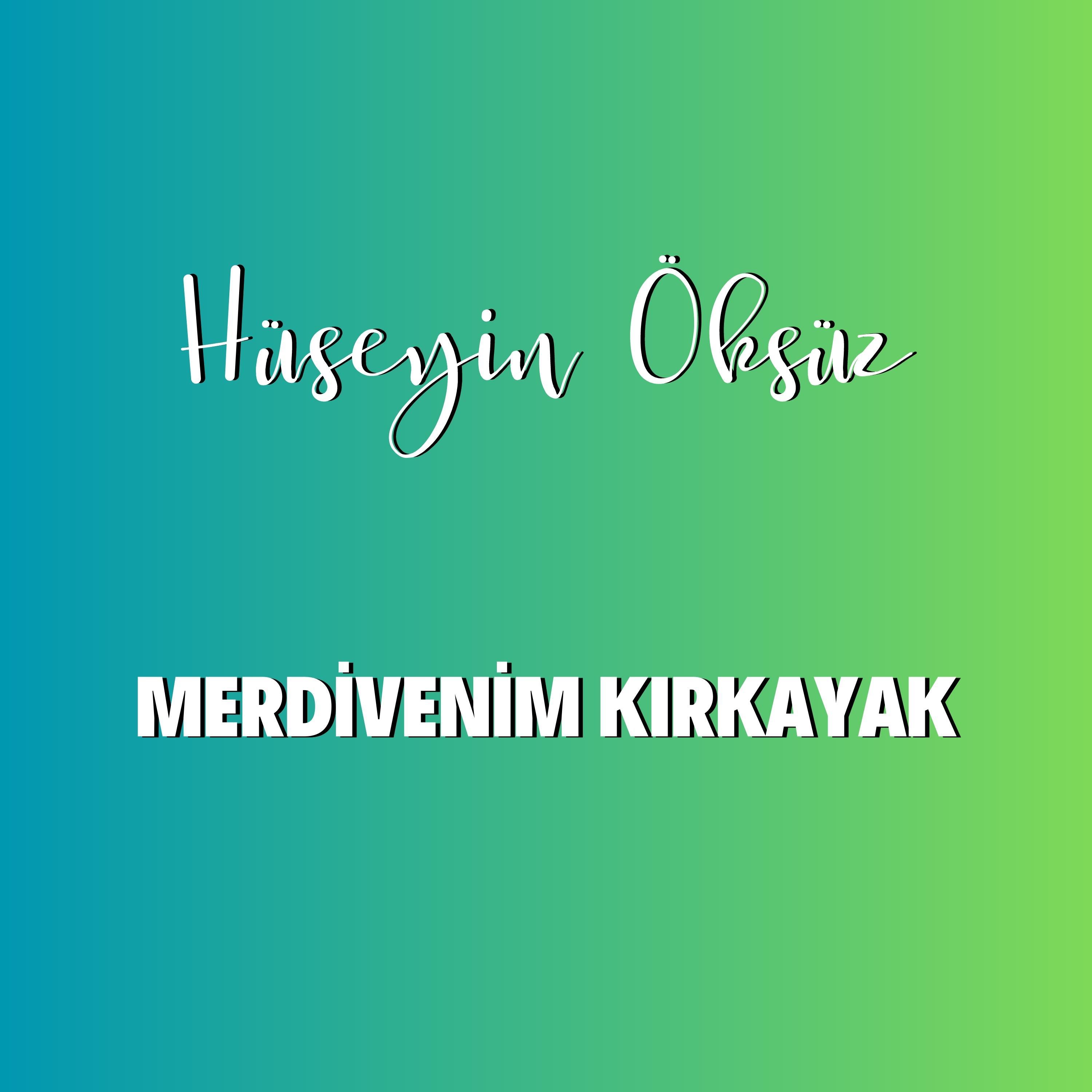 Постер альбома Merdivenim Kırkayak