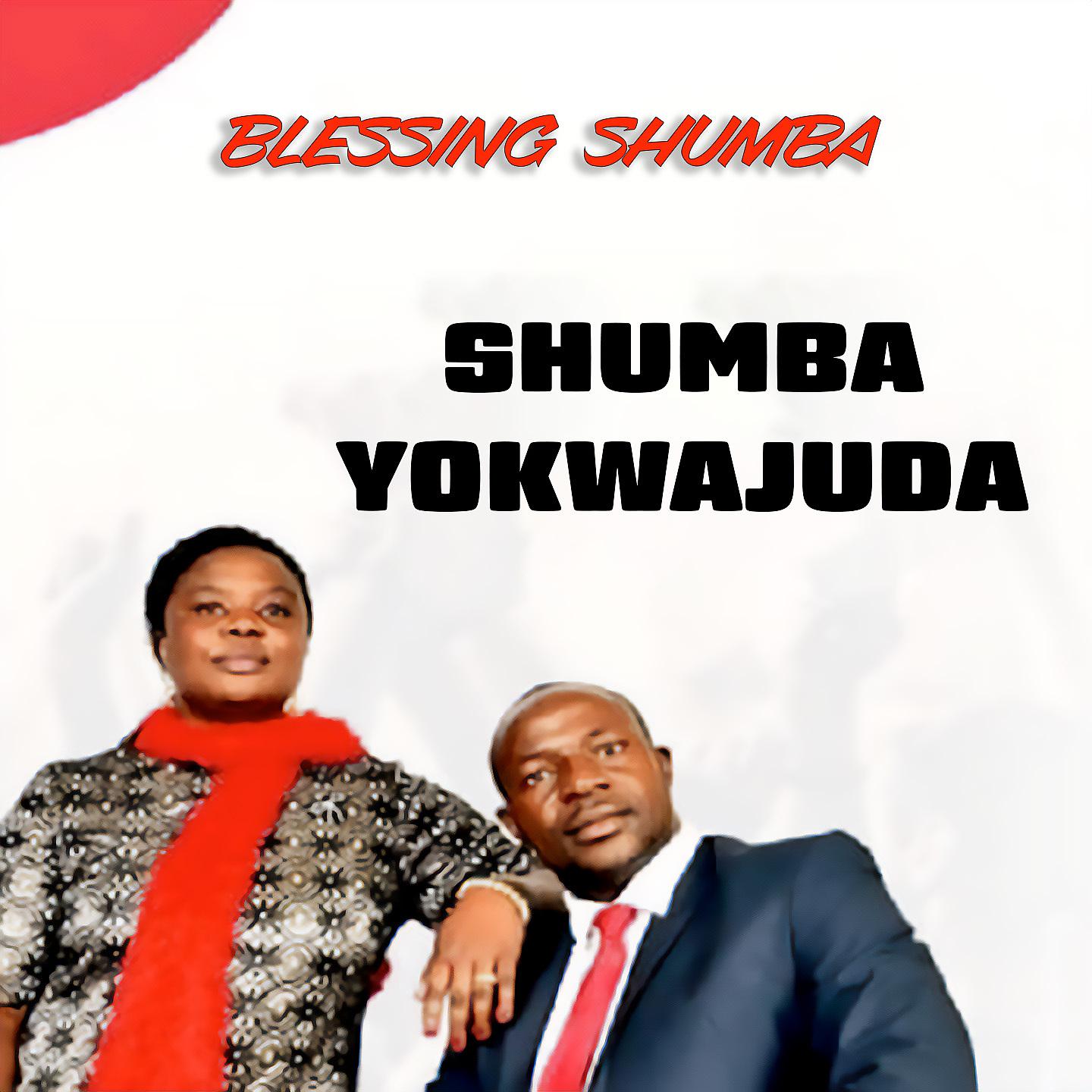 Постер альбома Shumba Yokwajuda