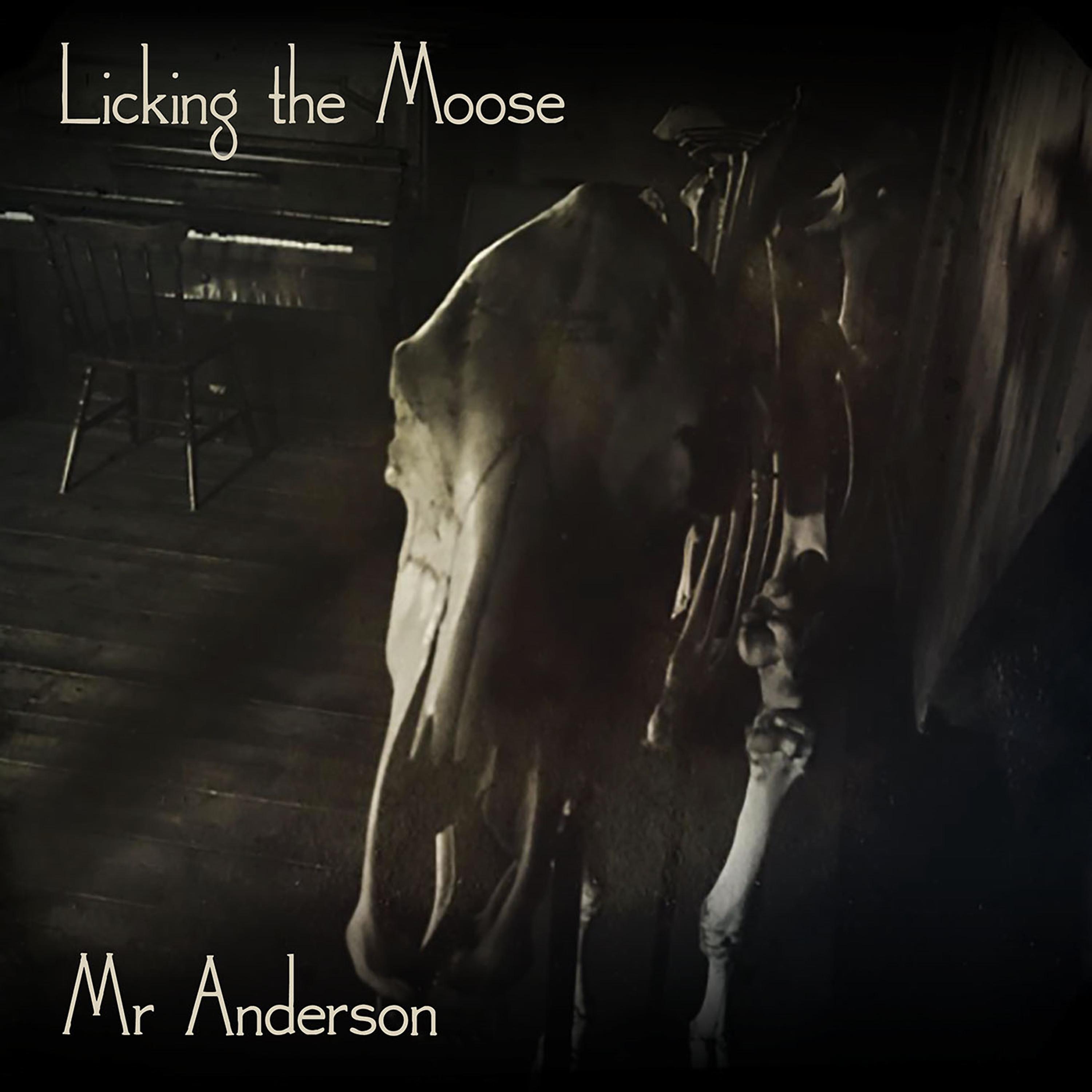Постер альбома Mr Anderson
