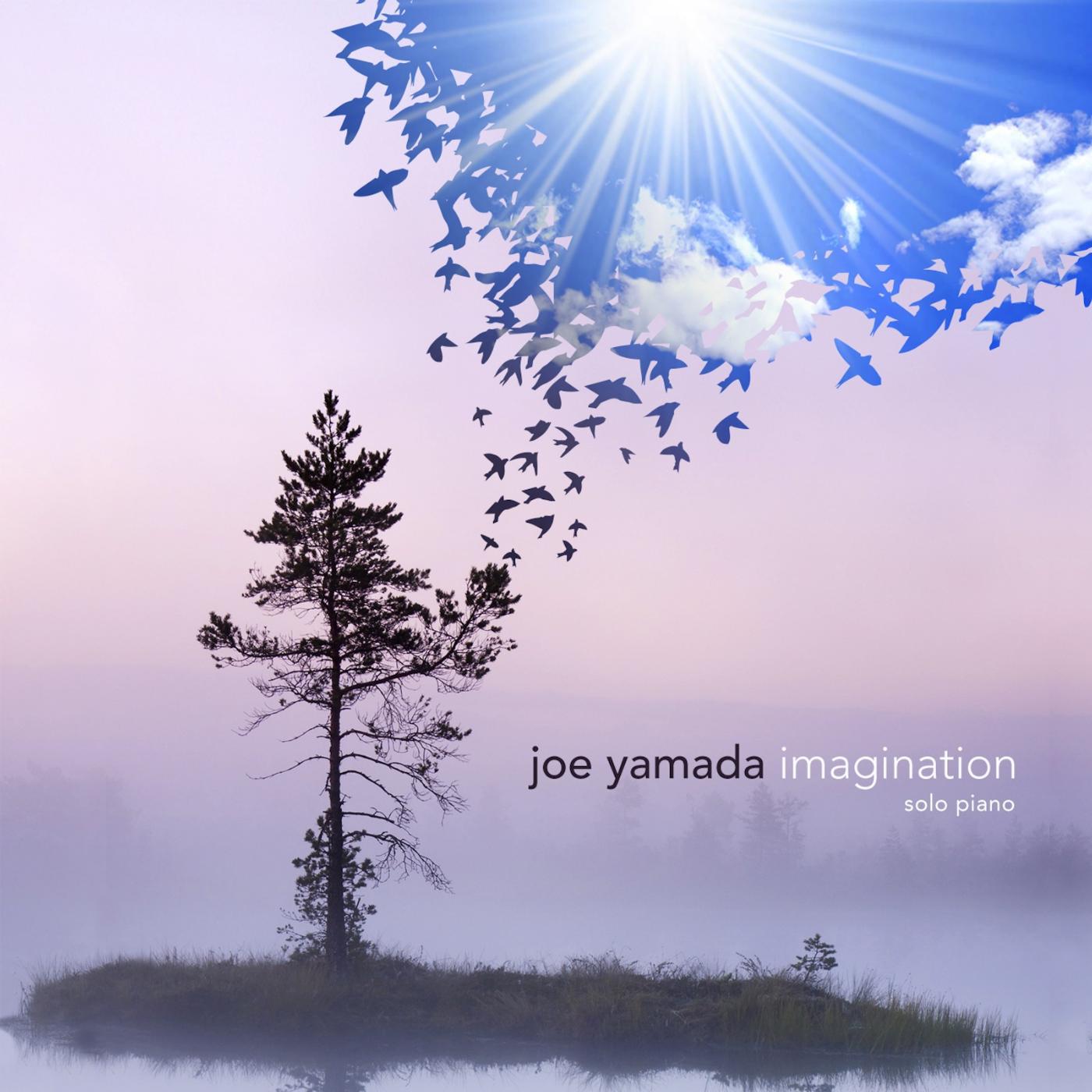 Постер альбома Imagination - Solo Piano
