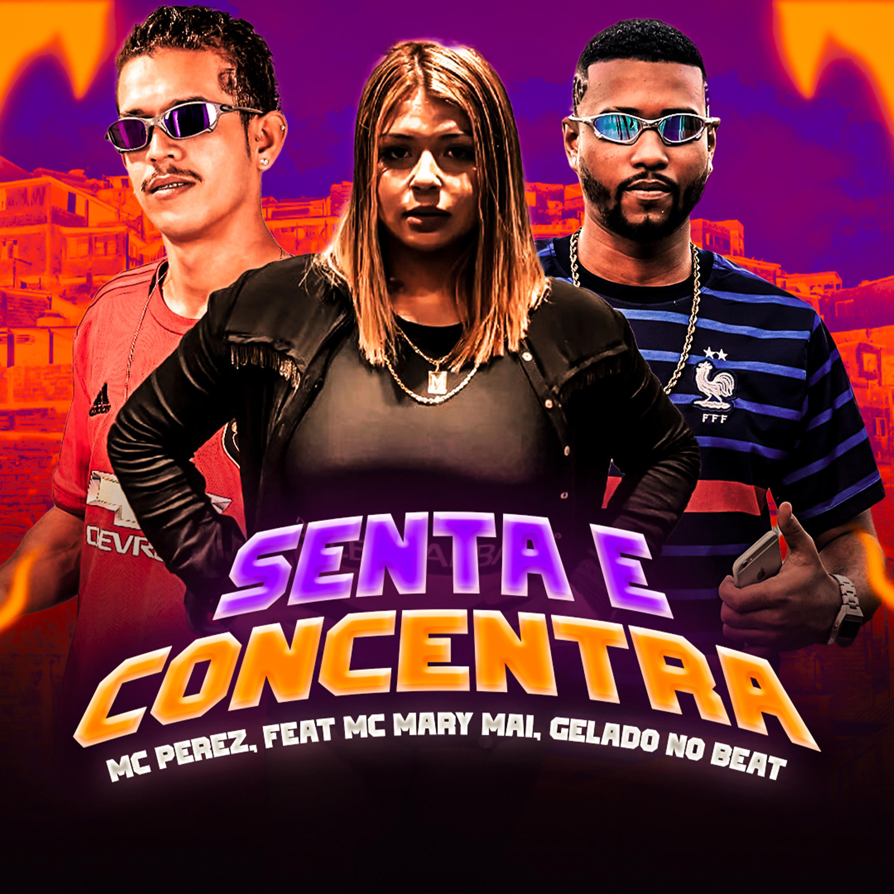 Постер альбома Senta e Concentra