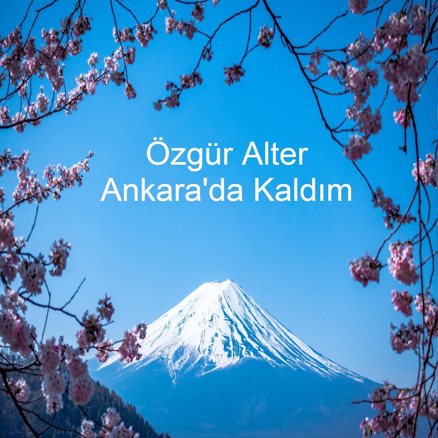 Постер альбома Ankara'da Kaldım