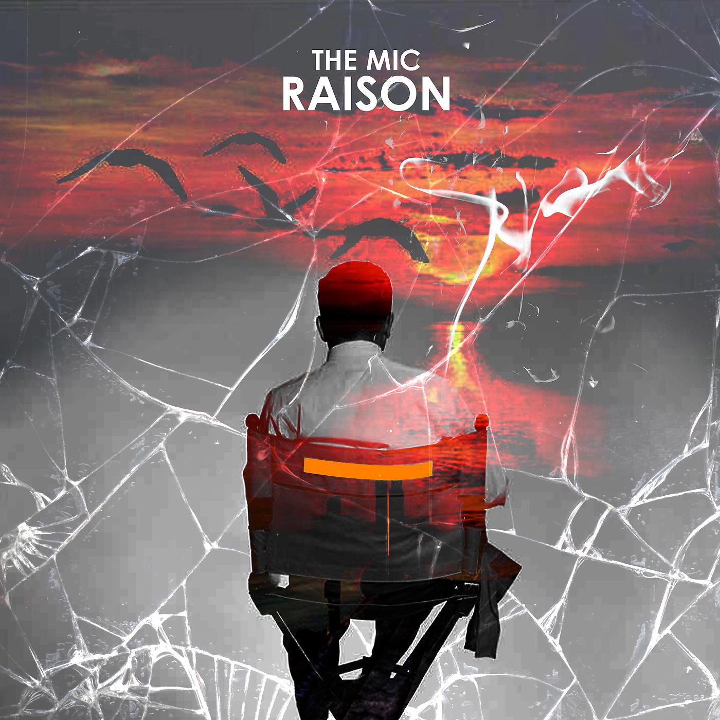 Постер альбома RAISON