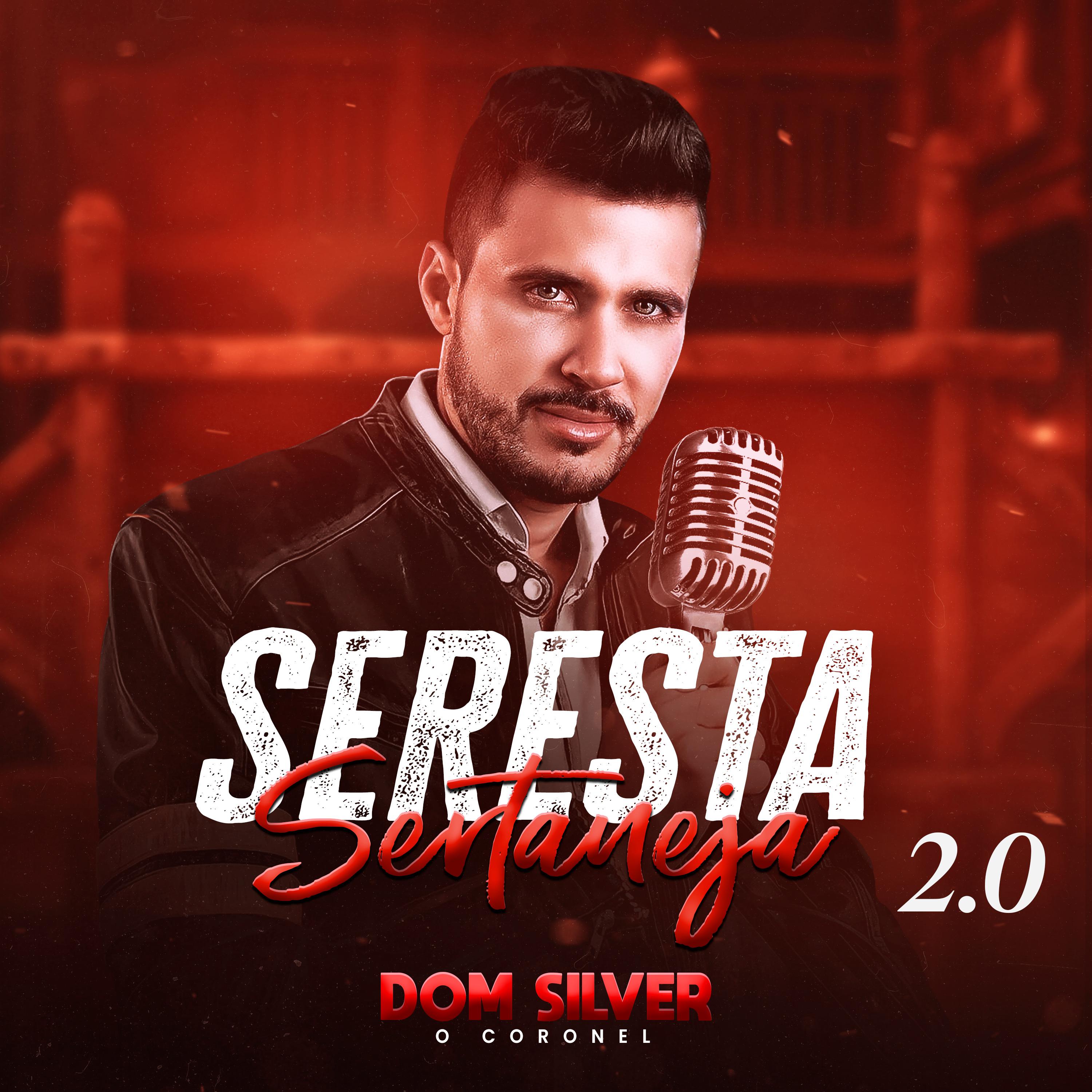 Постер альбома Seresta Sertaneja 2.0