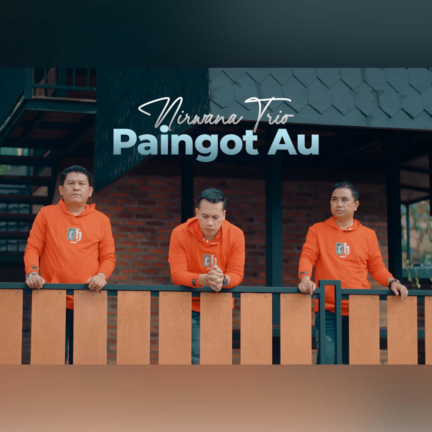Постер альбома Paingot Au