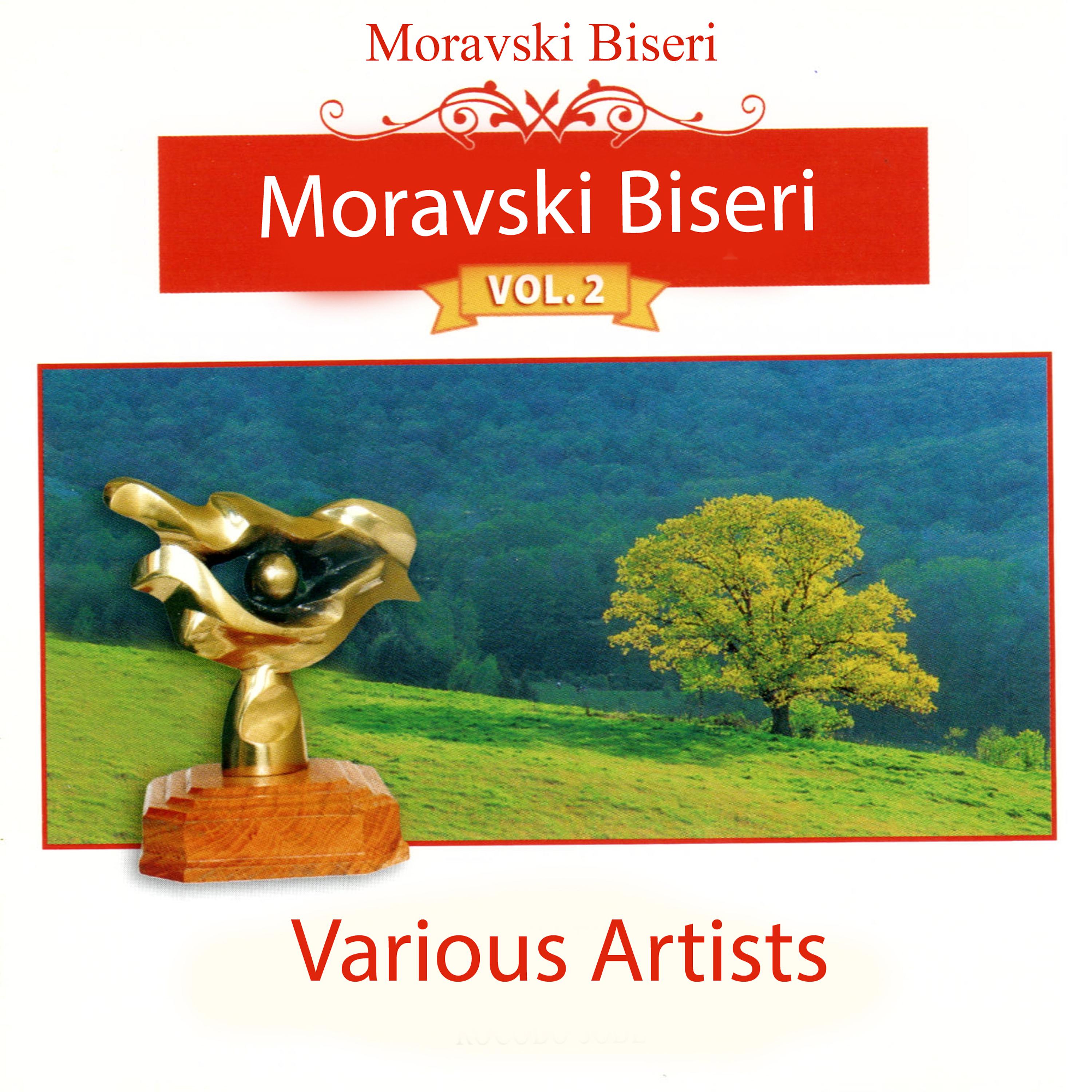 Постер альбома Moravski Biseri Vol.2