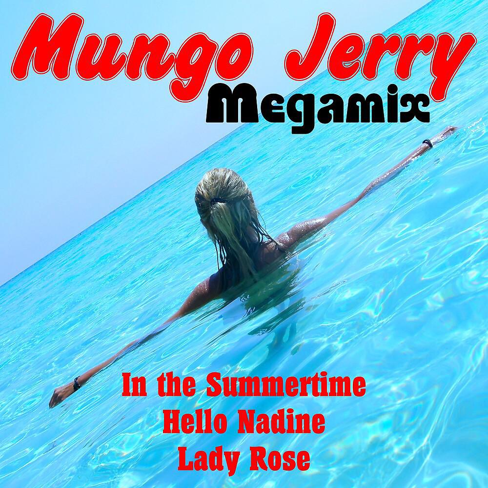 Постер альбома Mungo Jerry (Megamix No.1)