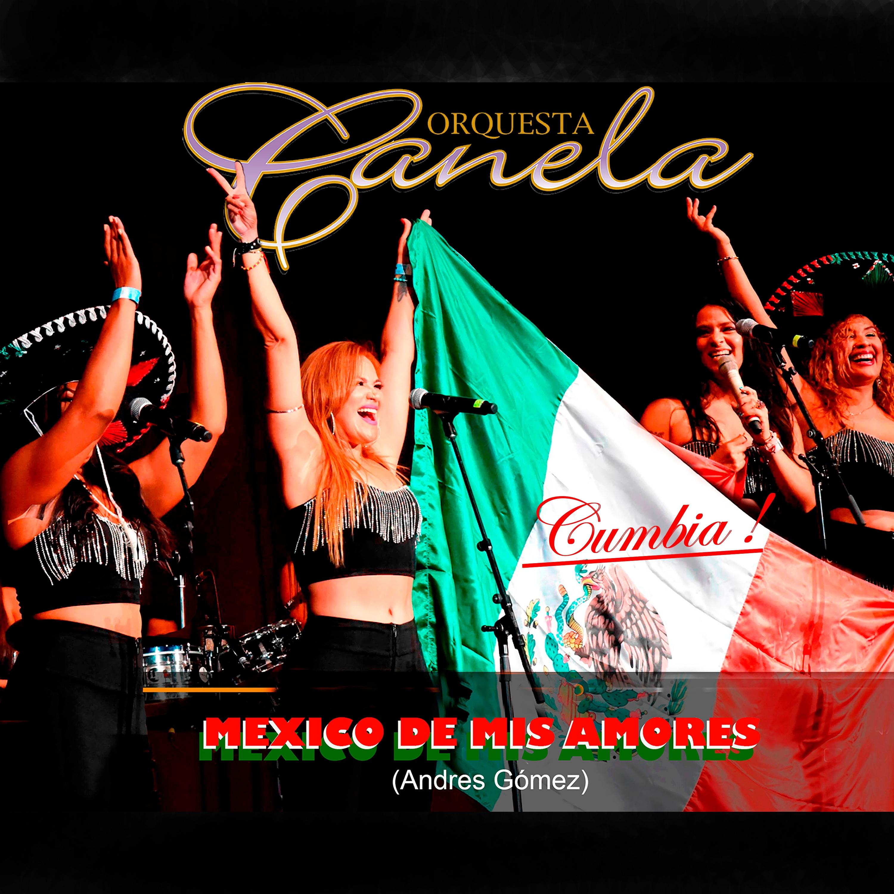 Постер альбома Mexico de Mis Amores