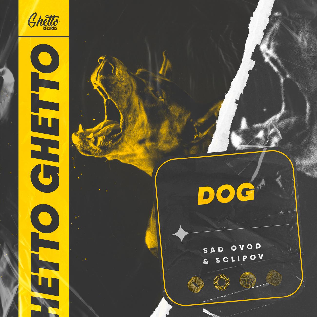 Постер альбома DOG