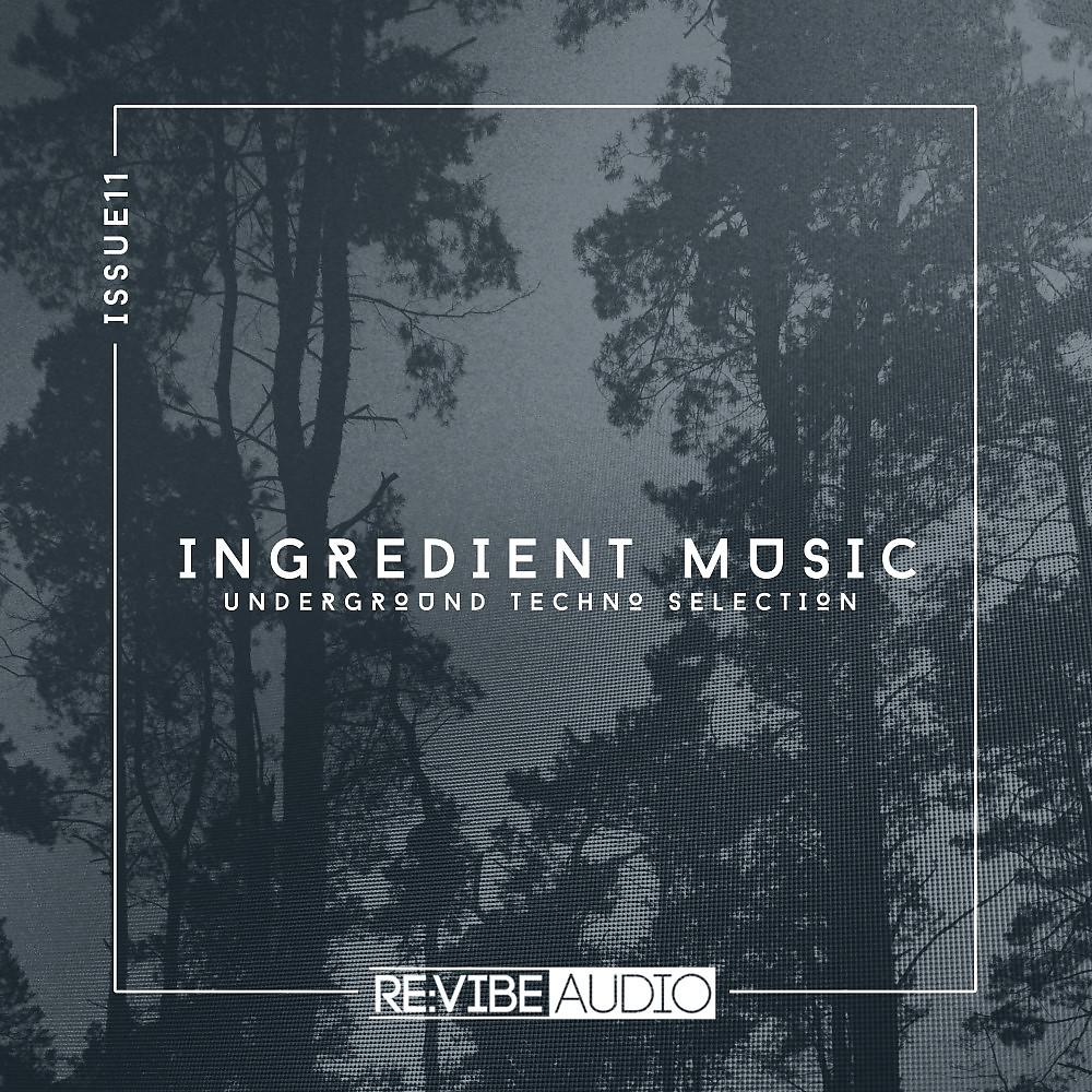 Постер альбома Ingredient Music, Vol. 11