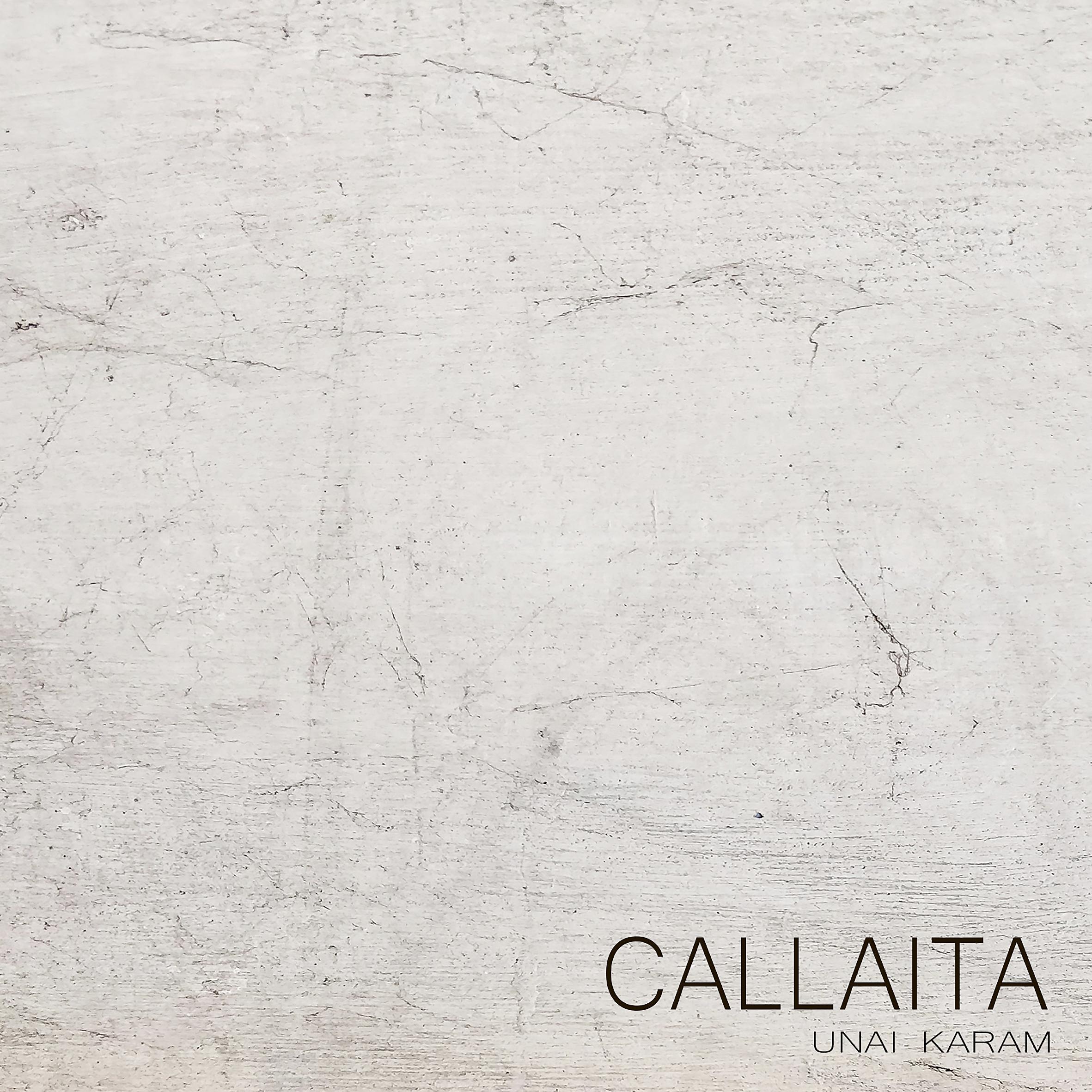 Постер альбома Callaita (Piano Cover)