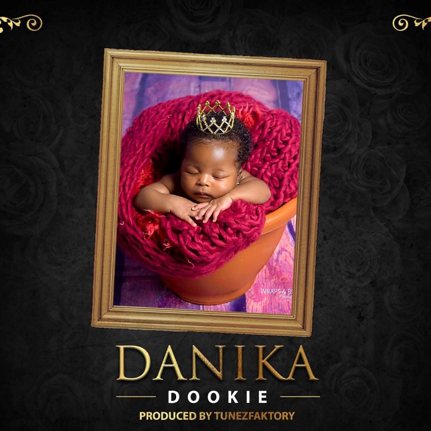 Постер альбома Danika