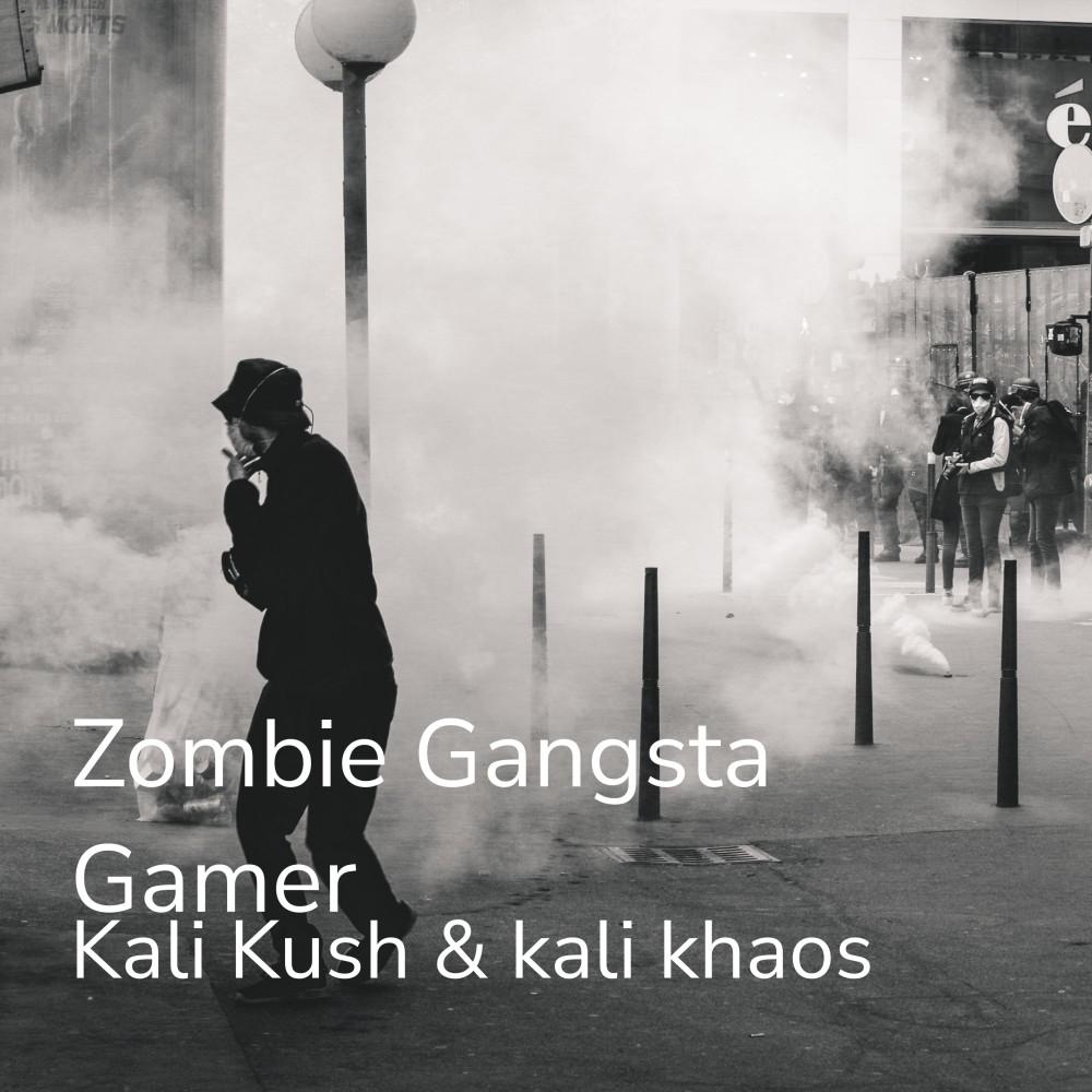 Постер альбома Zombie Gangsta Gamer