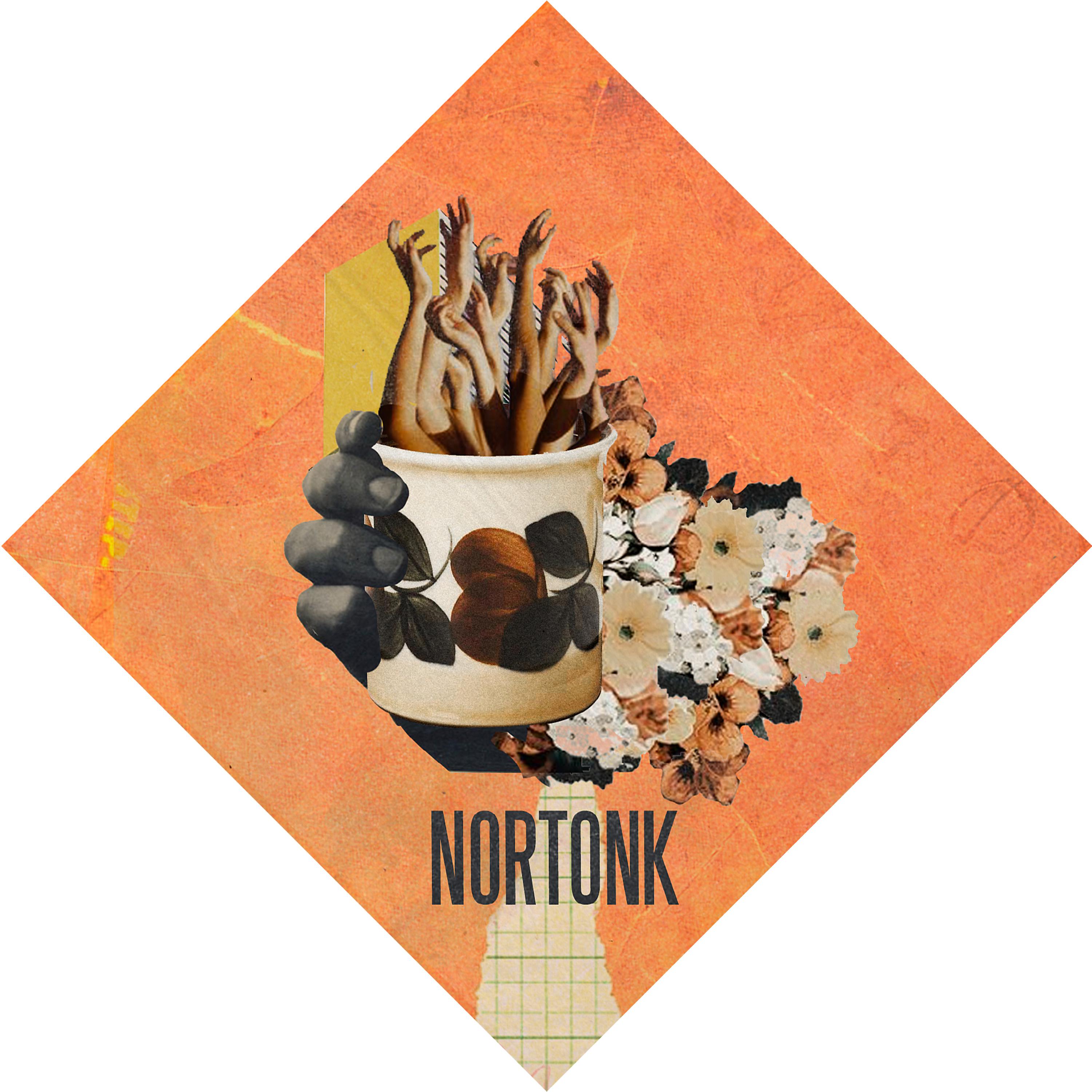 Постер альбома Nortonk