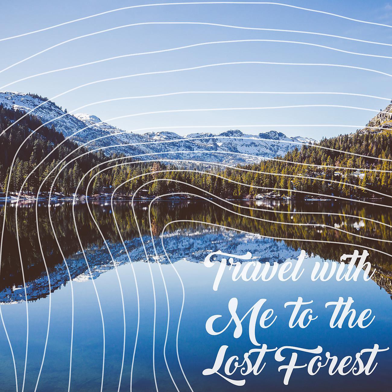Постер альбома Travel with Me to the Lost Forest. Increase Your Imagination and Feel the Magic of Imagination