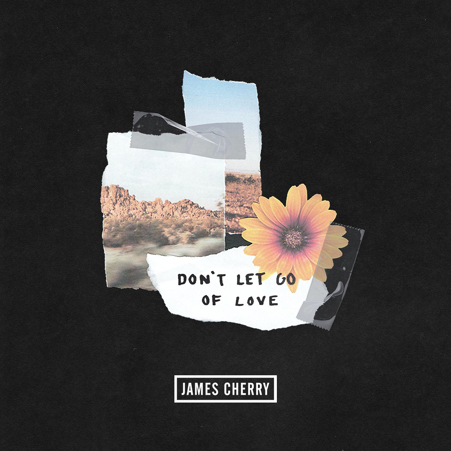 Постер альбома Don't Let Go Of Love