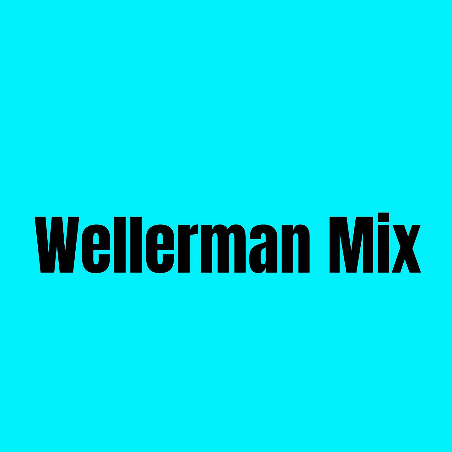 Постер альбома Wellerman - Mix