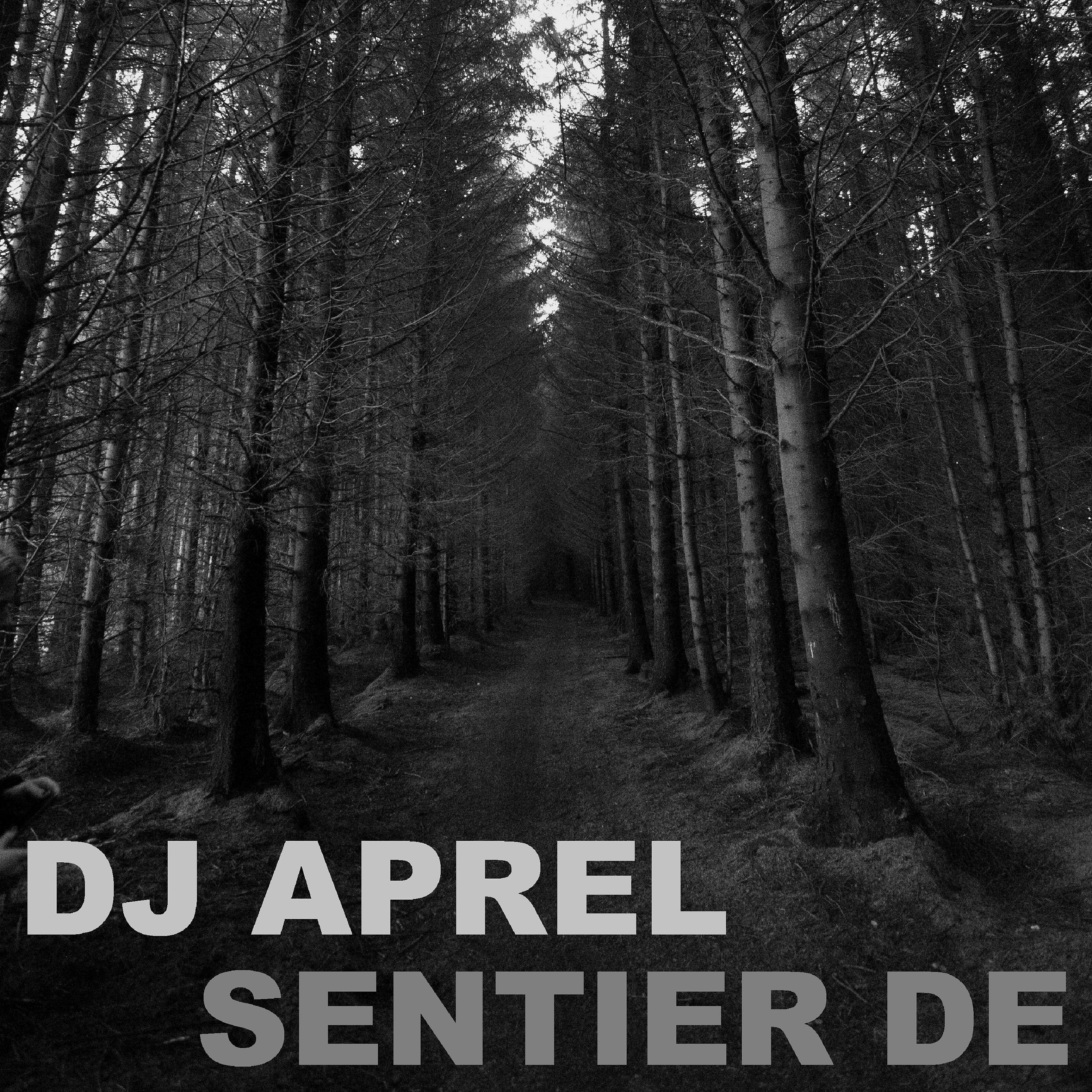 Постер альбома Sentier de